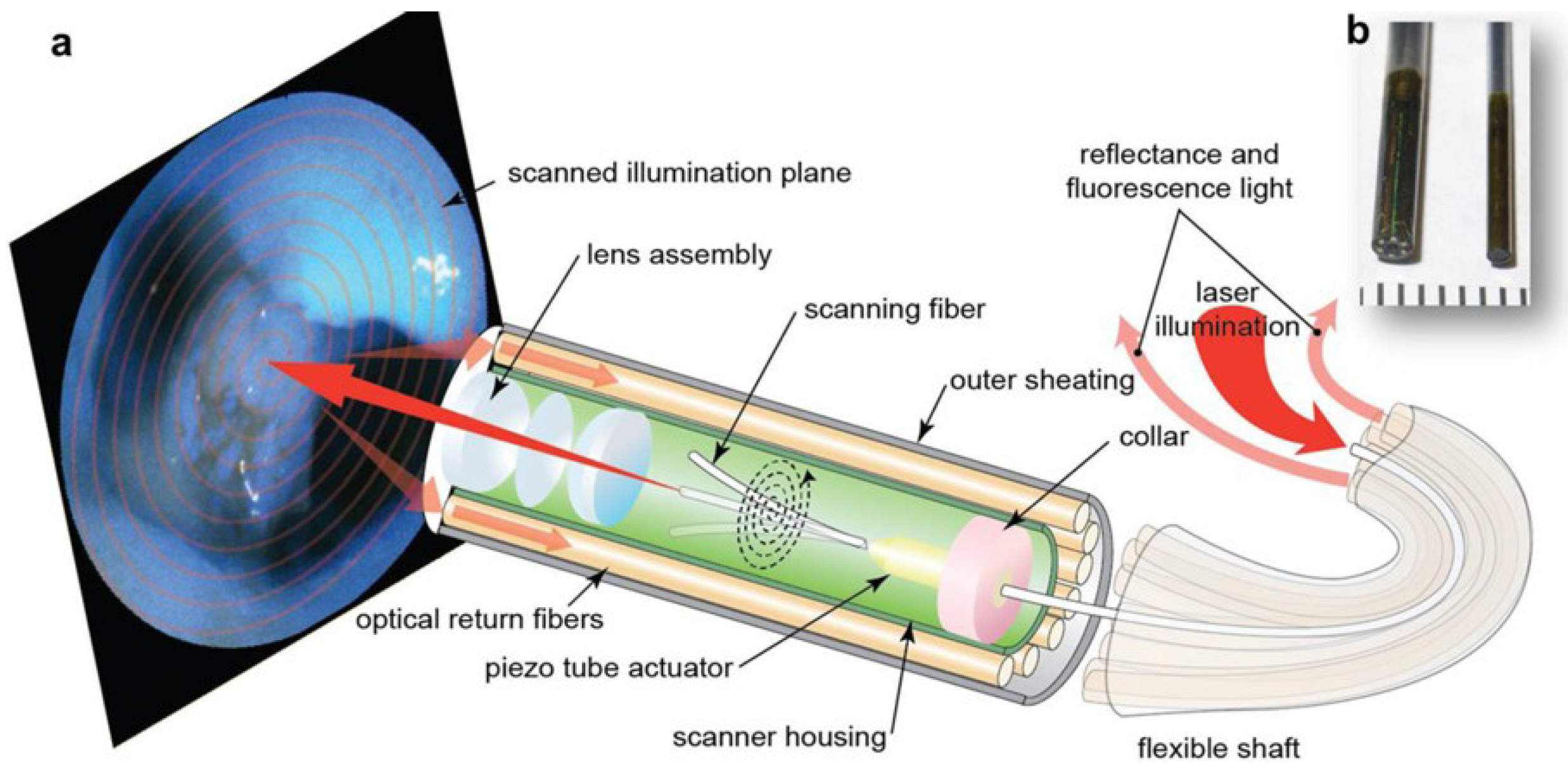 Micromachines 10 00085 g016