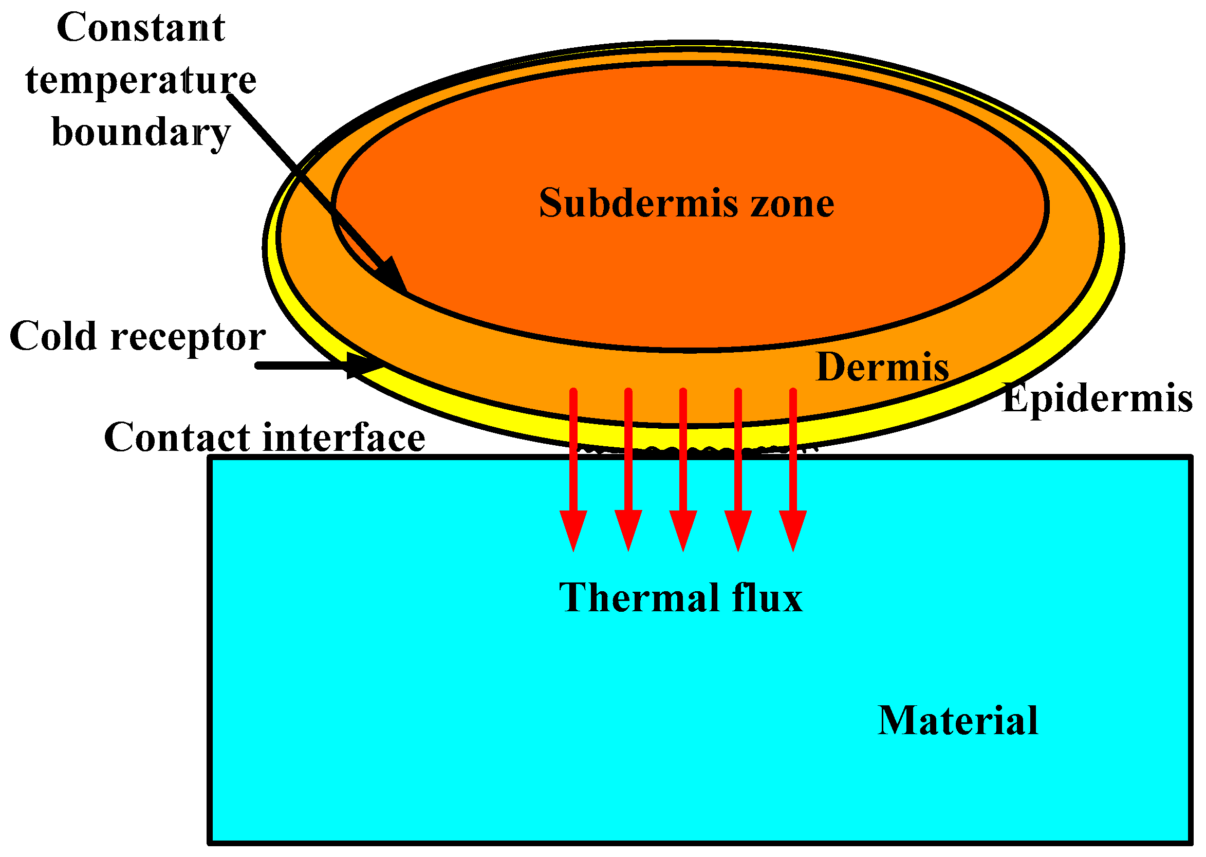 Micromachines 10 00087 g001