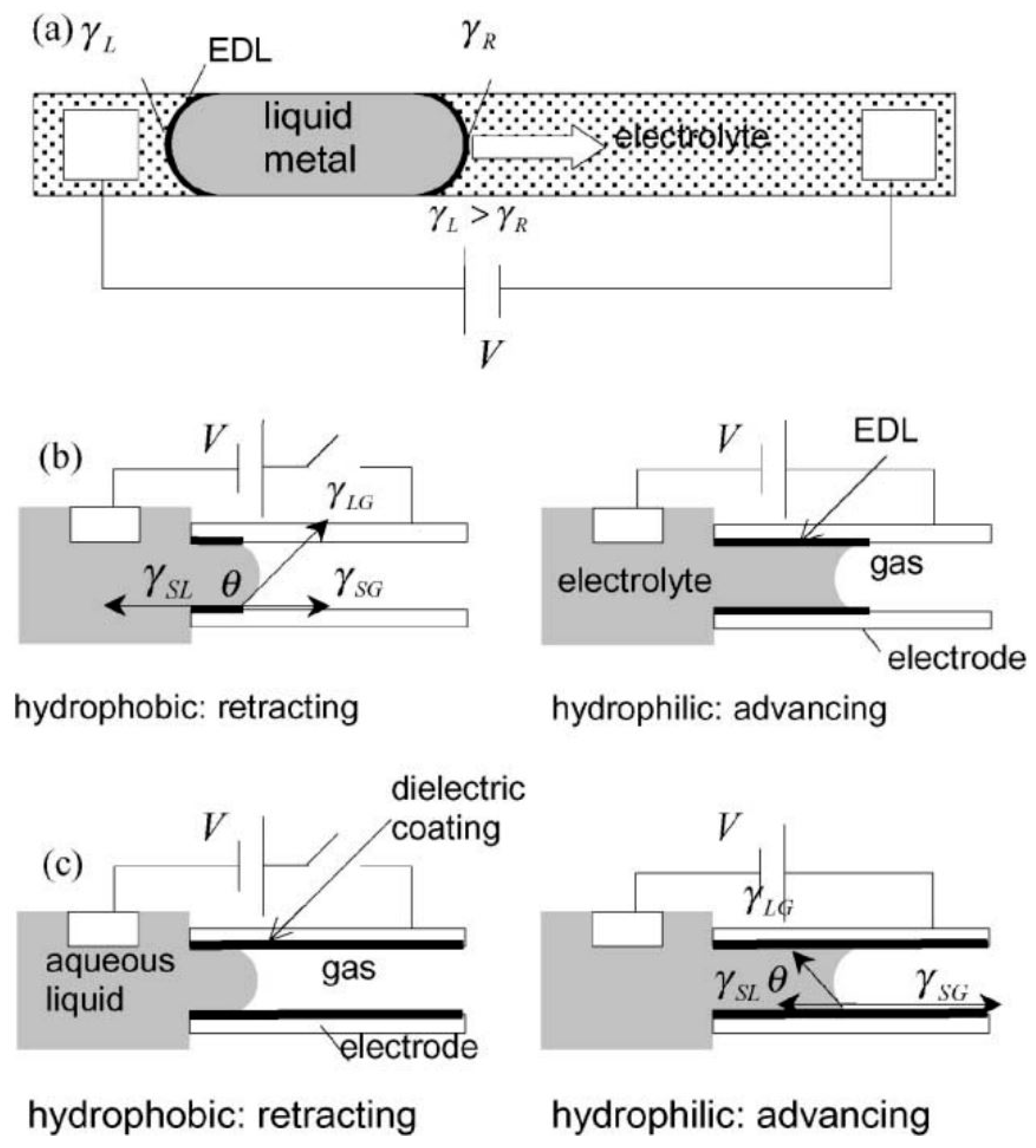 Micromachines 10 00089 g002
