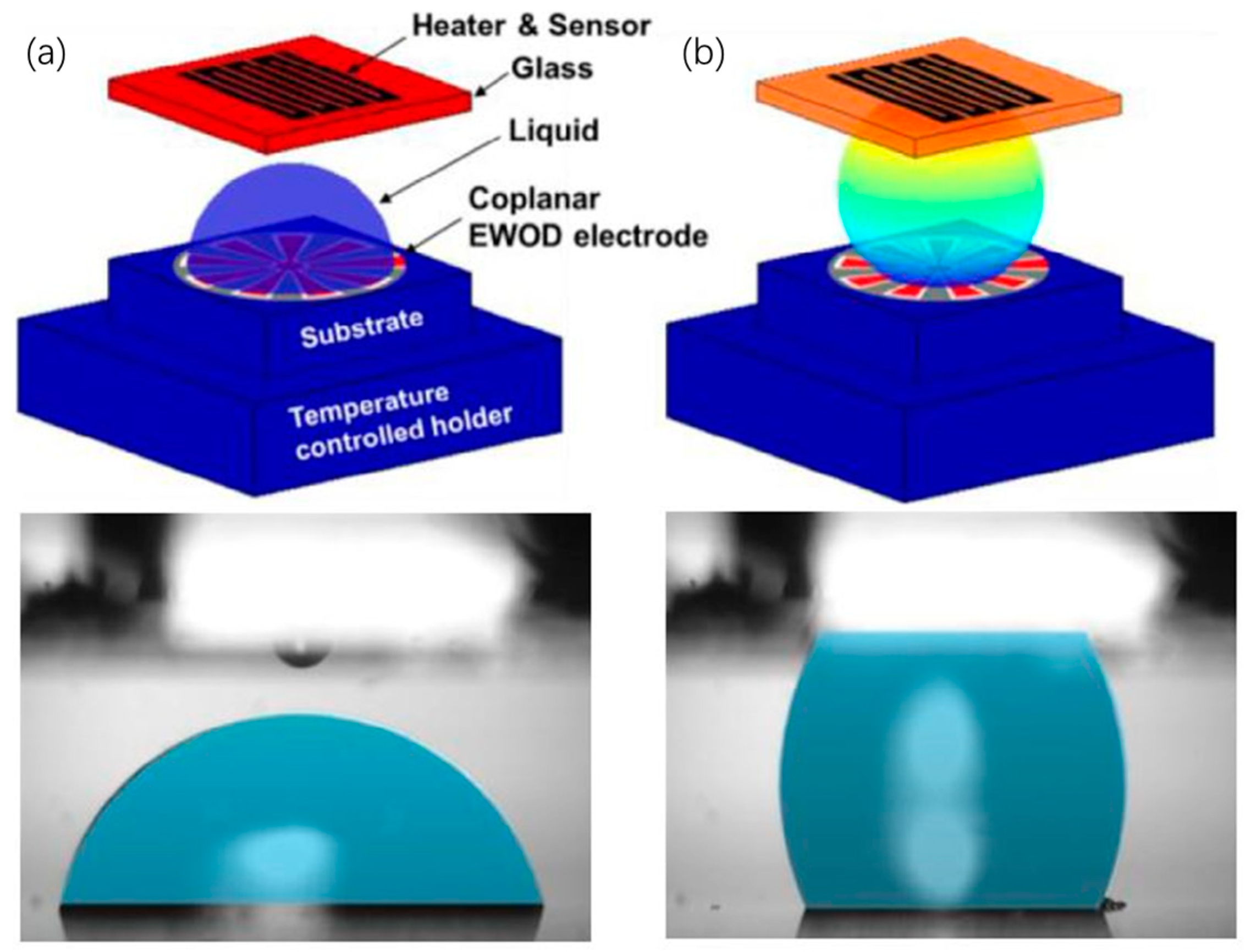 Micromachines 10 00089 g004