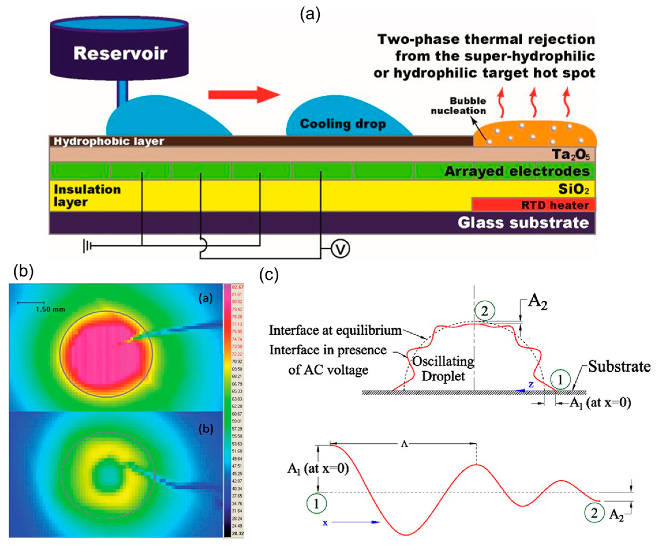 Micromachines 10 00089 g005