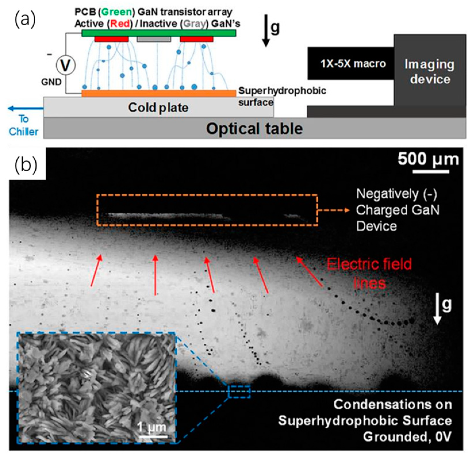 Micromachines 10 00089 g007