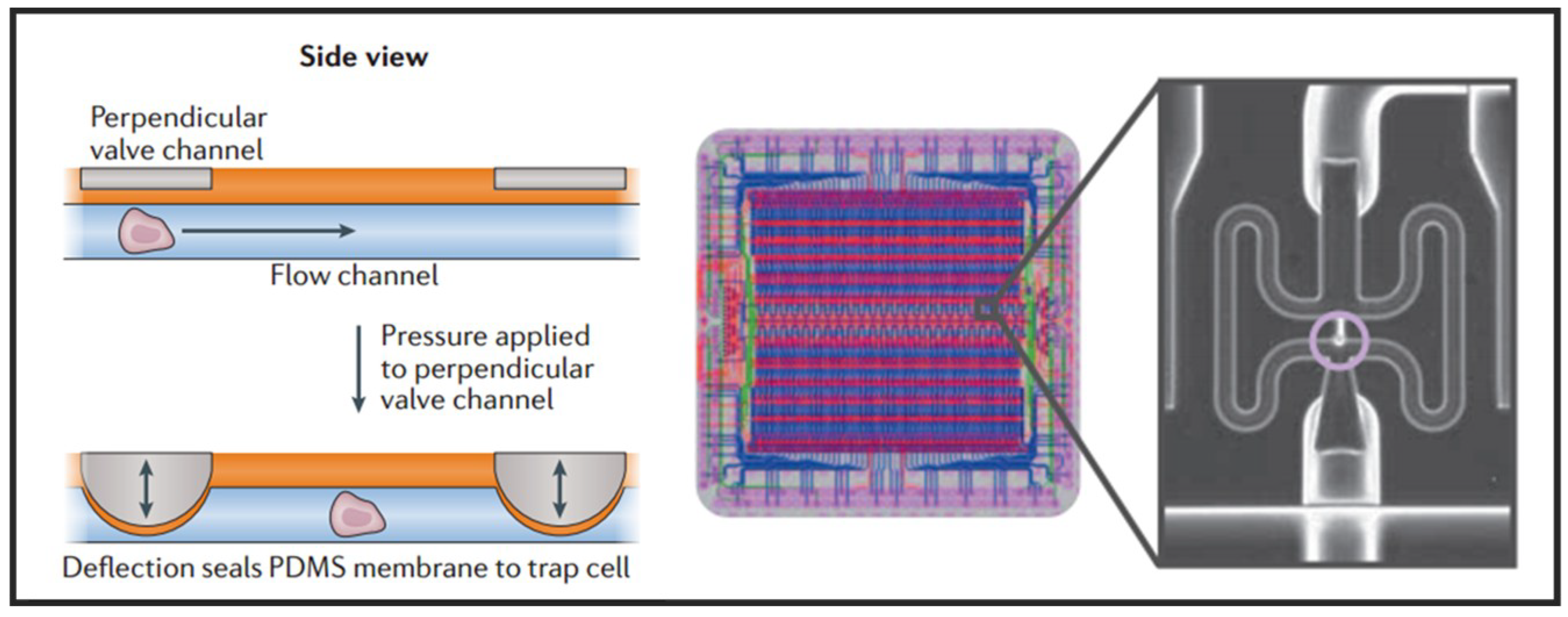 Micromachines 10 00104 g003