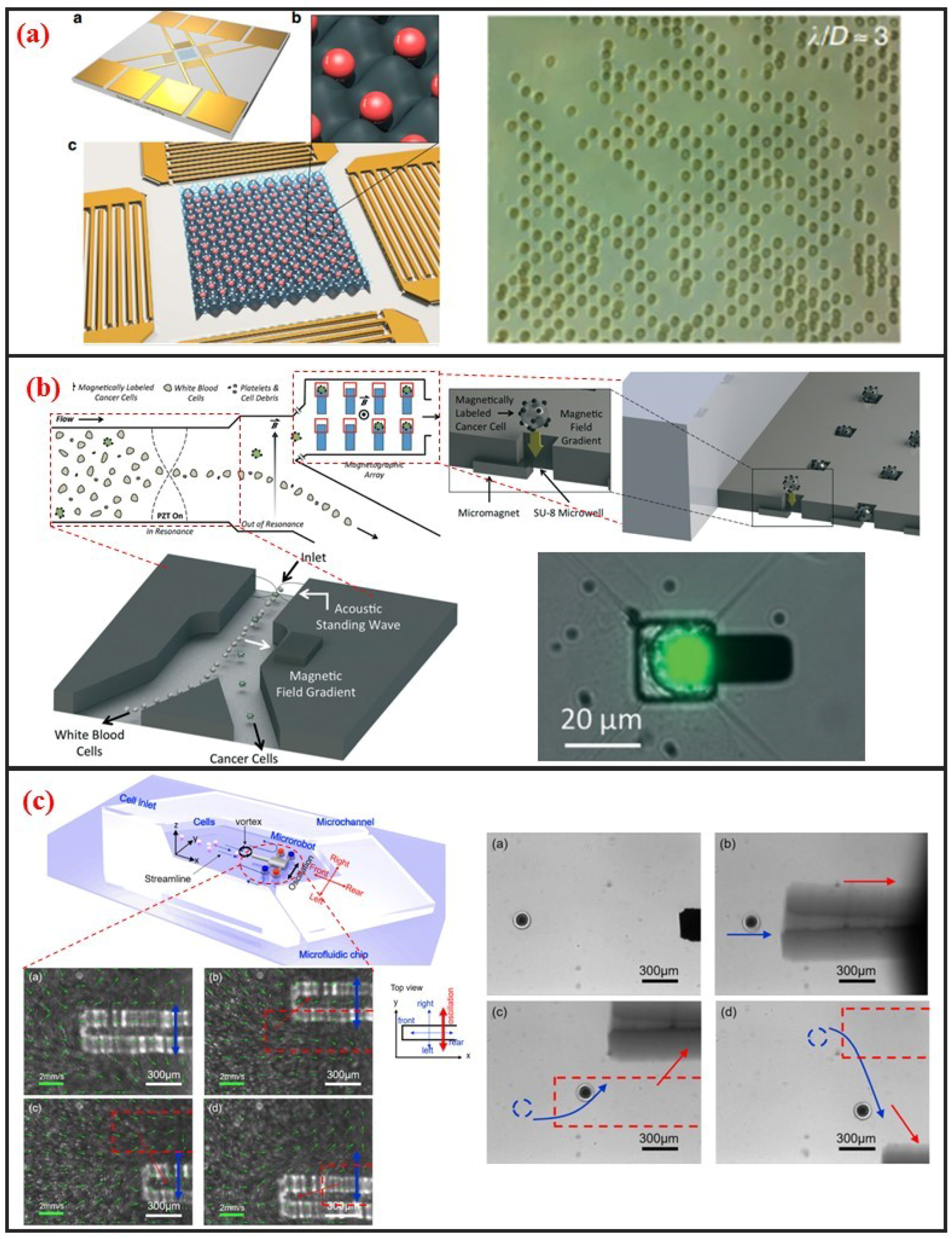 Micromachines 10 00104 g007