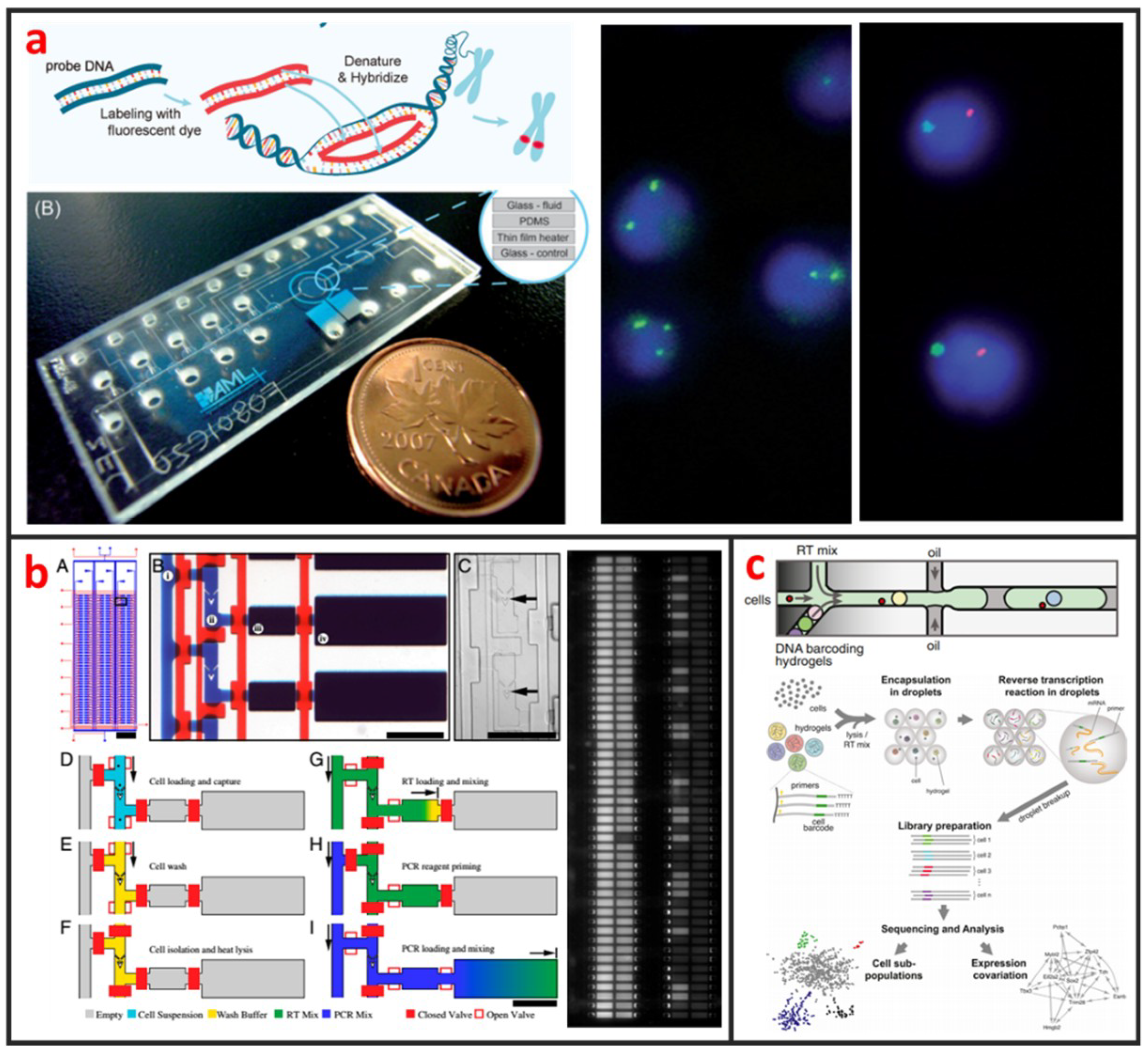Micromachines 10 00104 g009