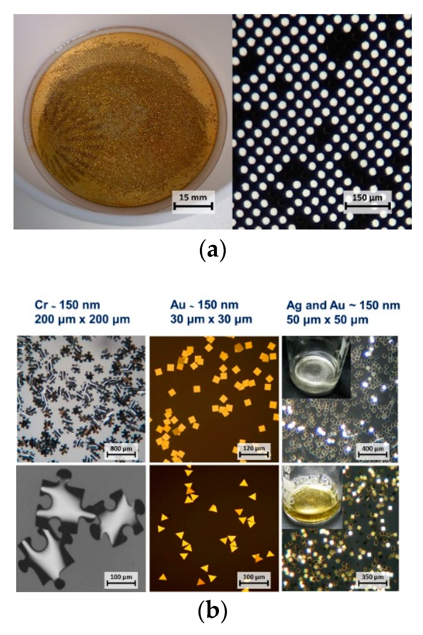 Micromachines 10 00106 g002