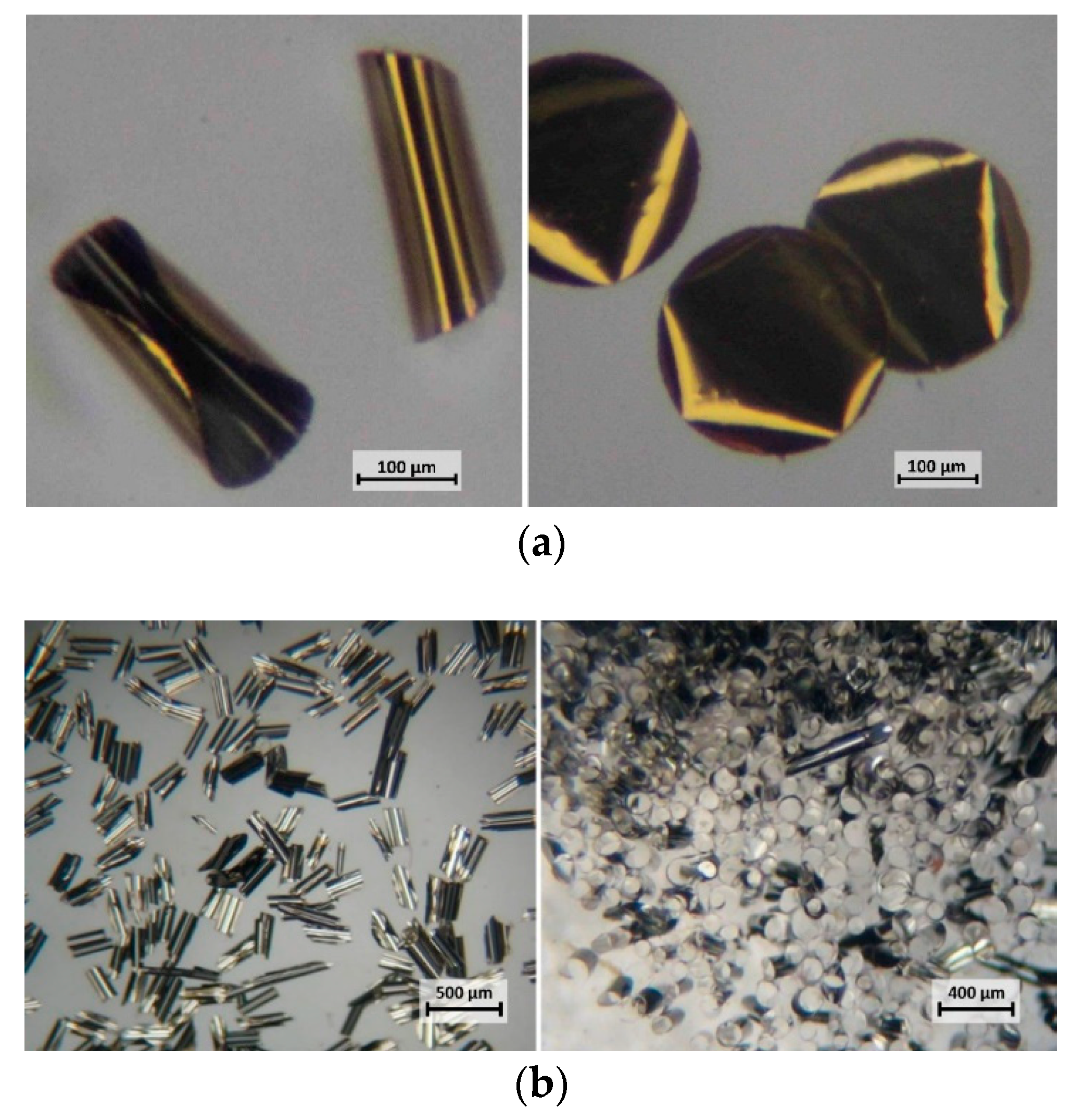 Micromachines 10 00106 g003