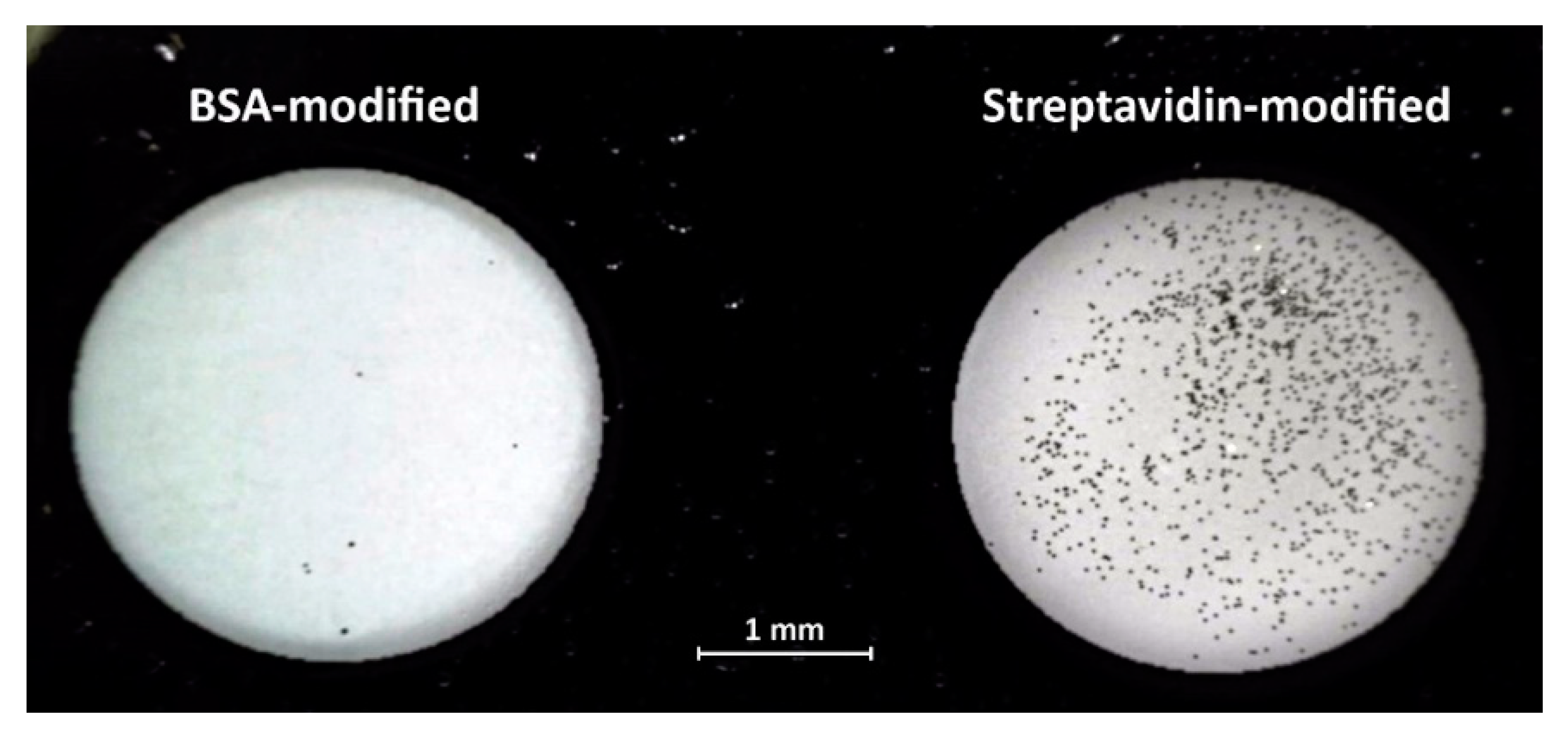 Micromachines 10 00106 g004