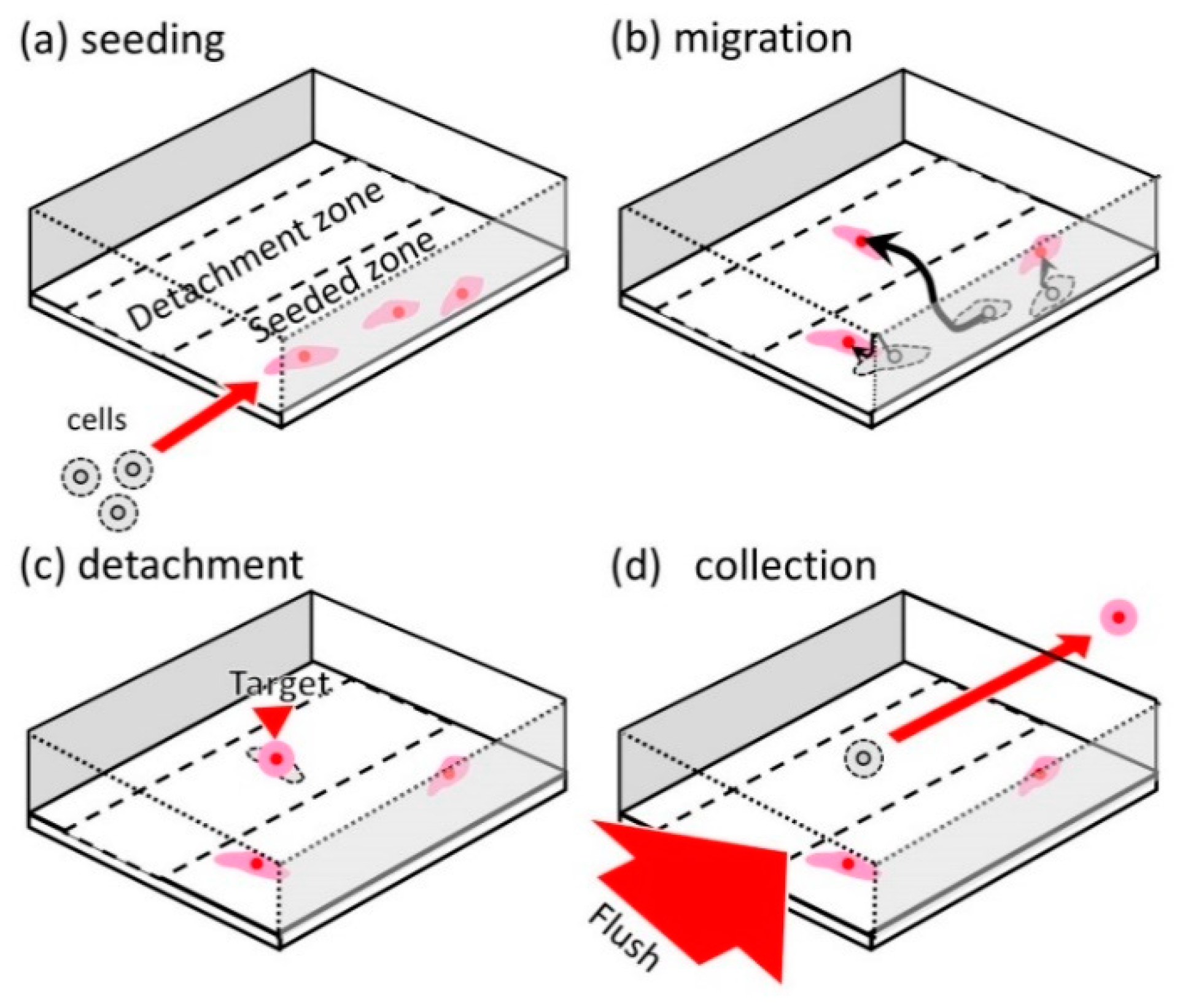 Micromachines 10 00116 g001