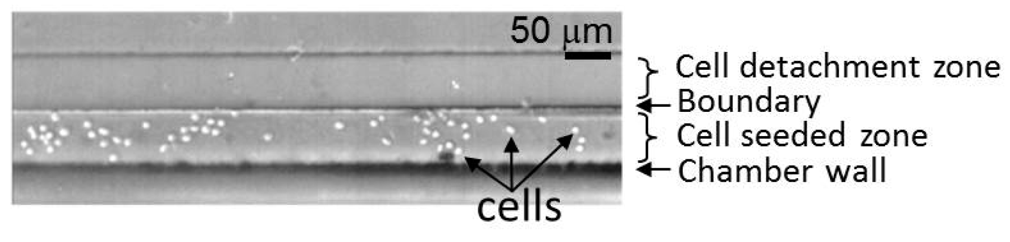 Micromachines 10 00116 g005