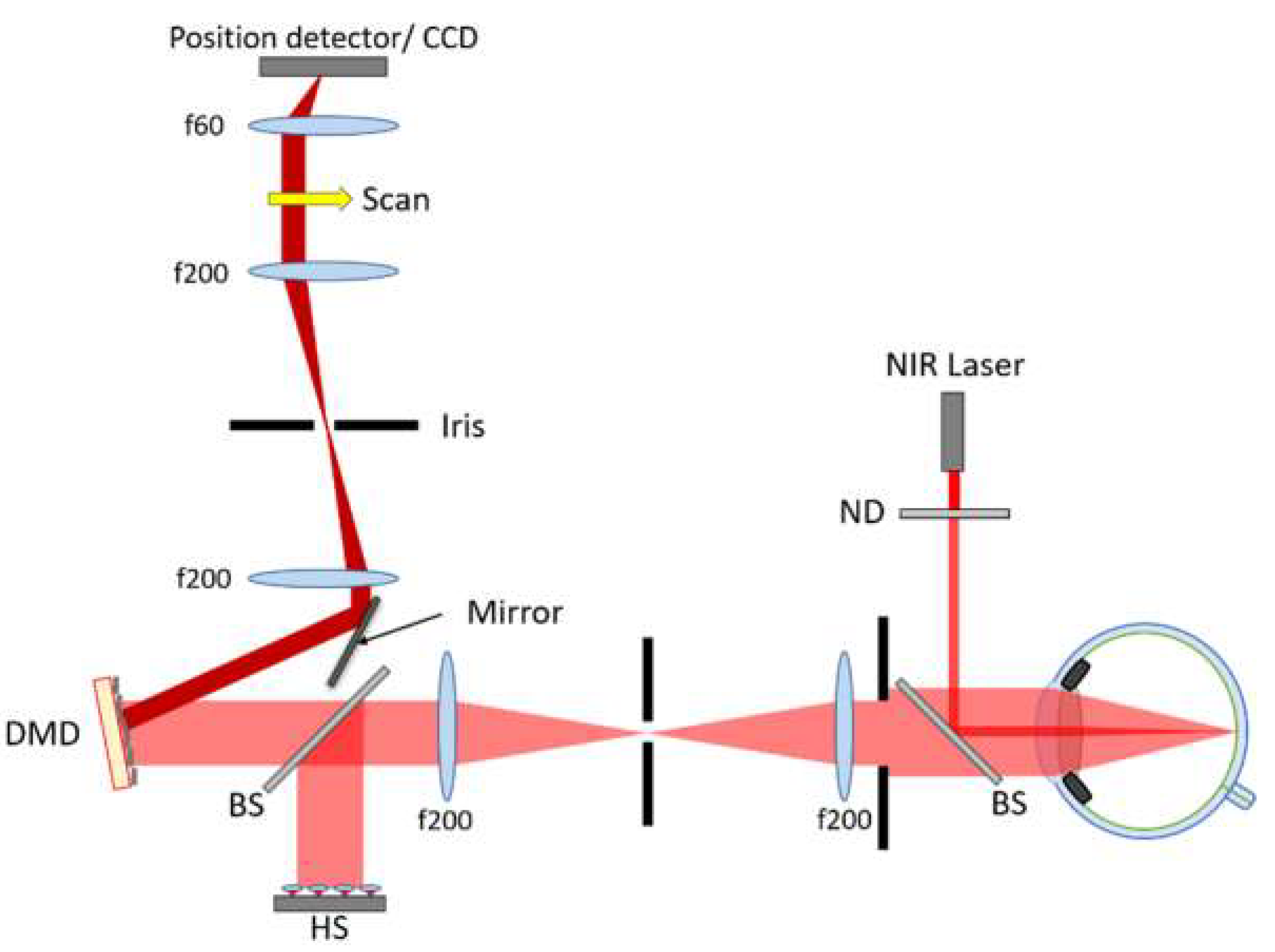 Micromachines 10 00117 g001