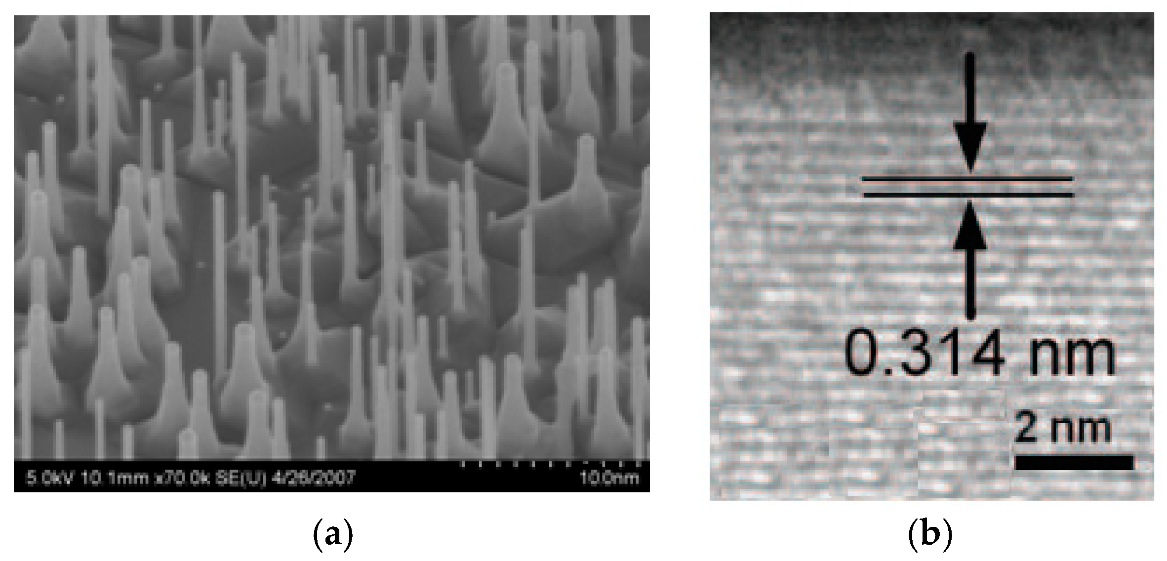 Micromachines 10 00127 g001