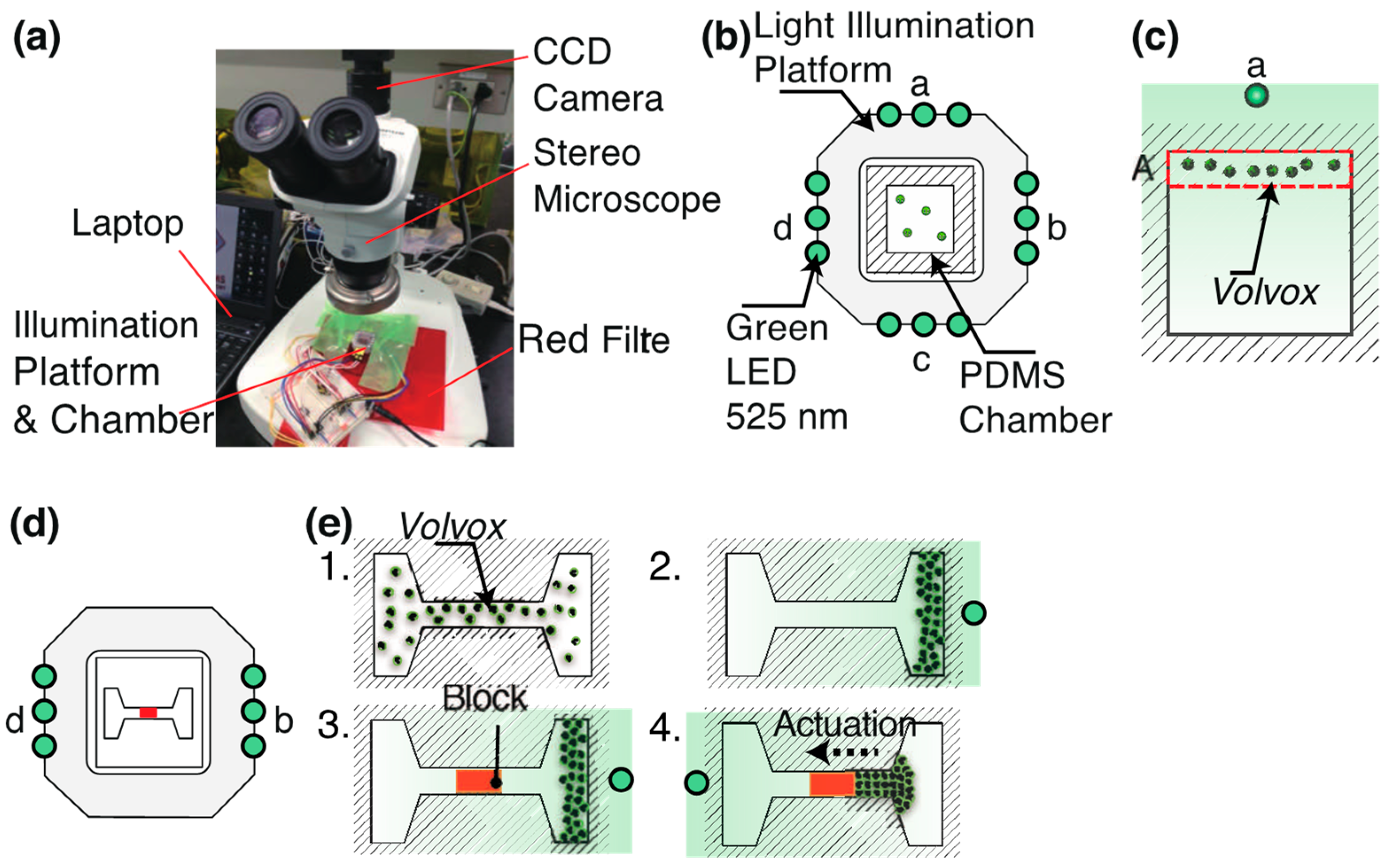 Micromachines 10 00130 g001