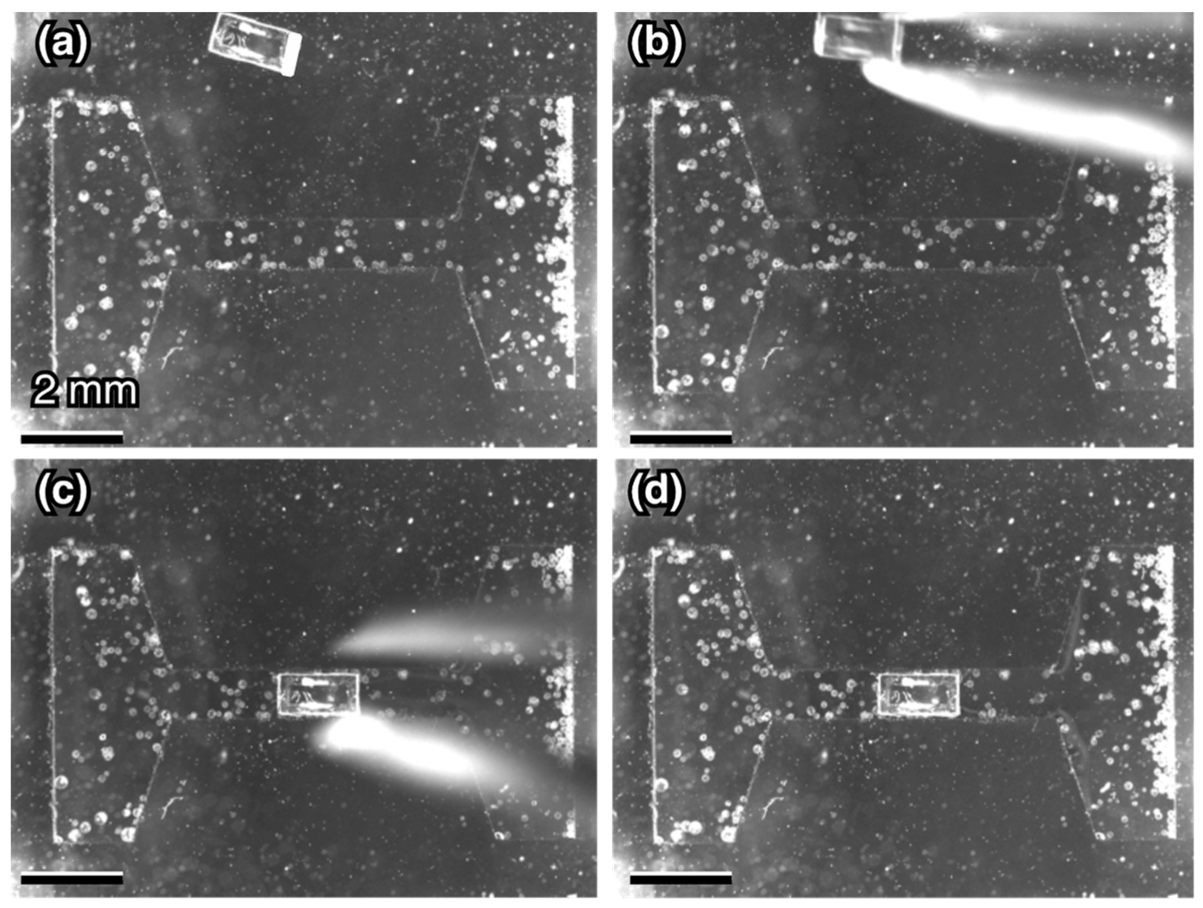 Micromachines 10 00130 g008