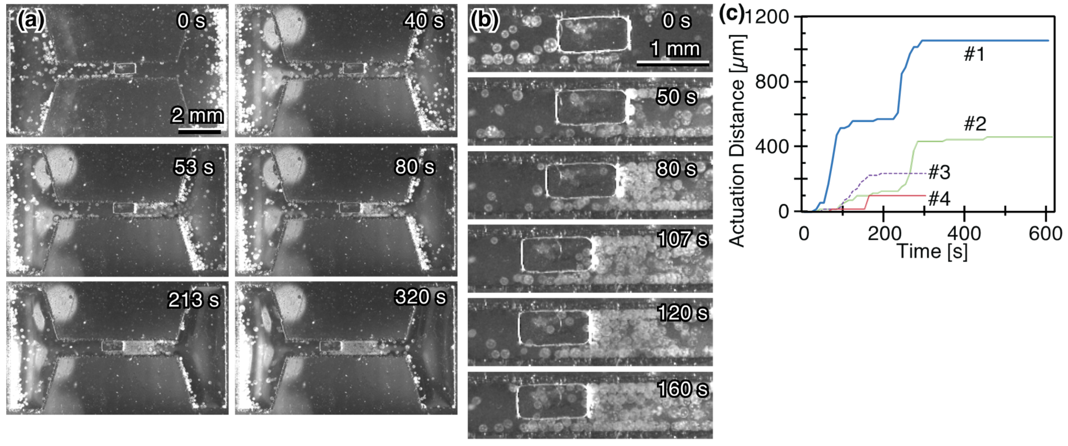 Micromachines 10 00130 g009