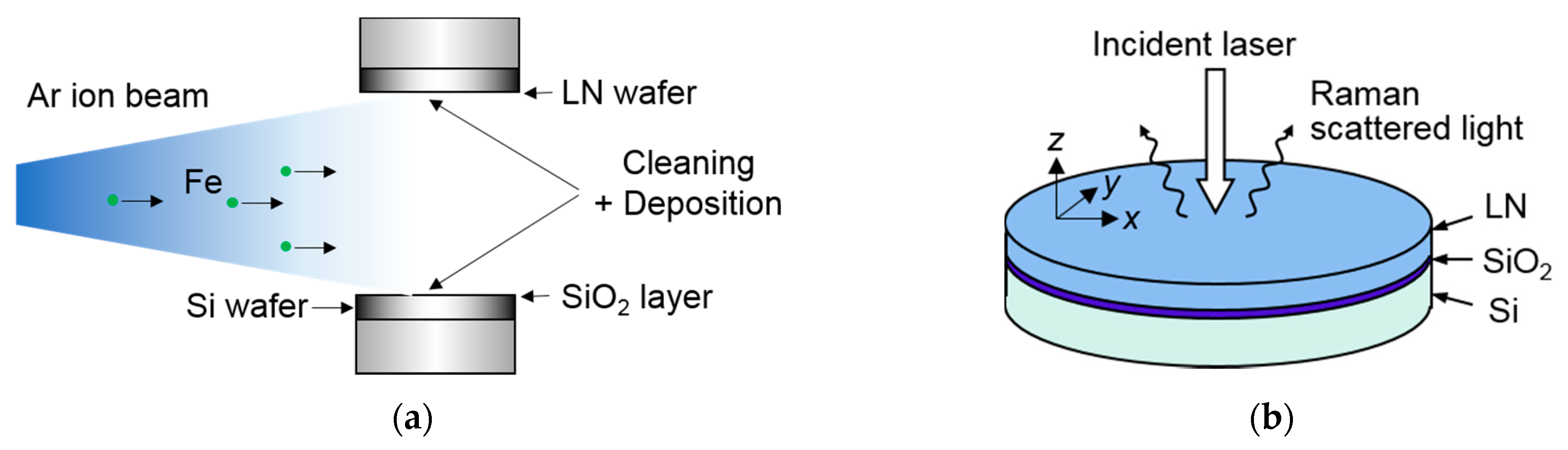 Micromachines 10 00136 g001