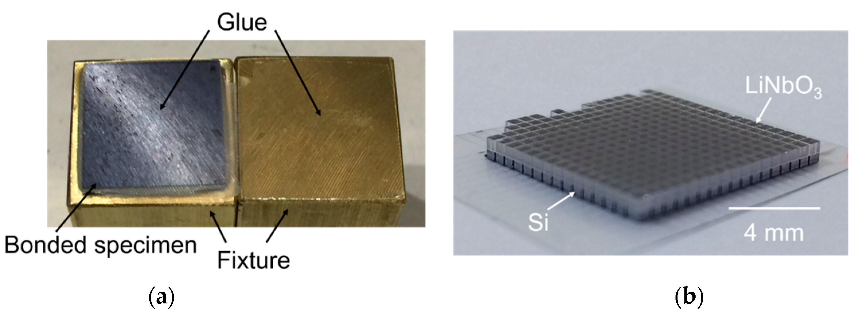 Micromachines 10 00136 g002