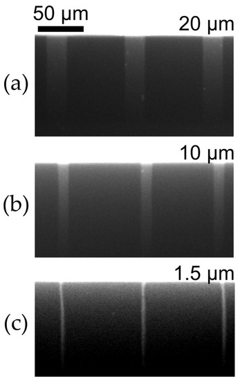 Micromachines 10 00143 g0a1
