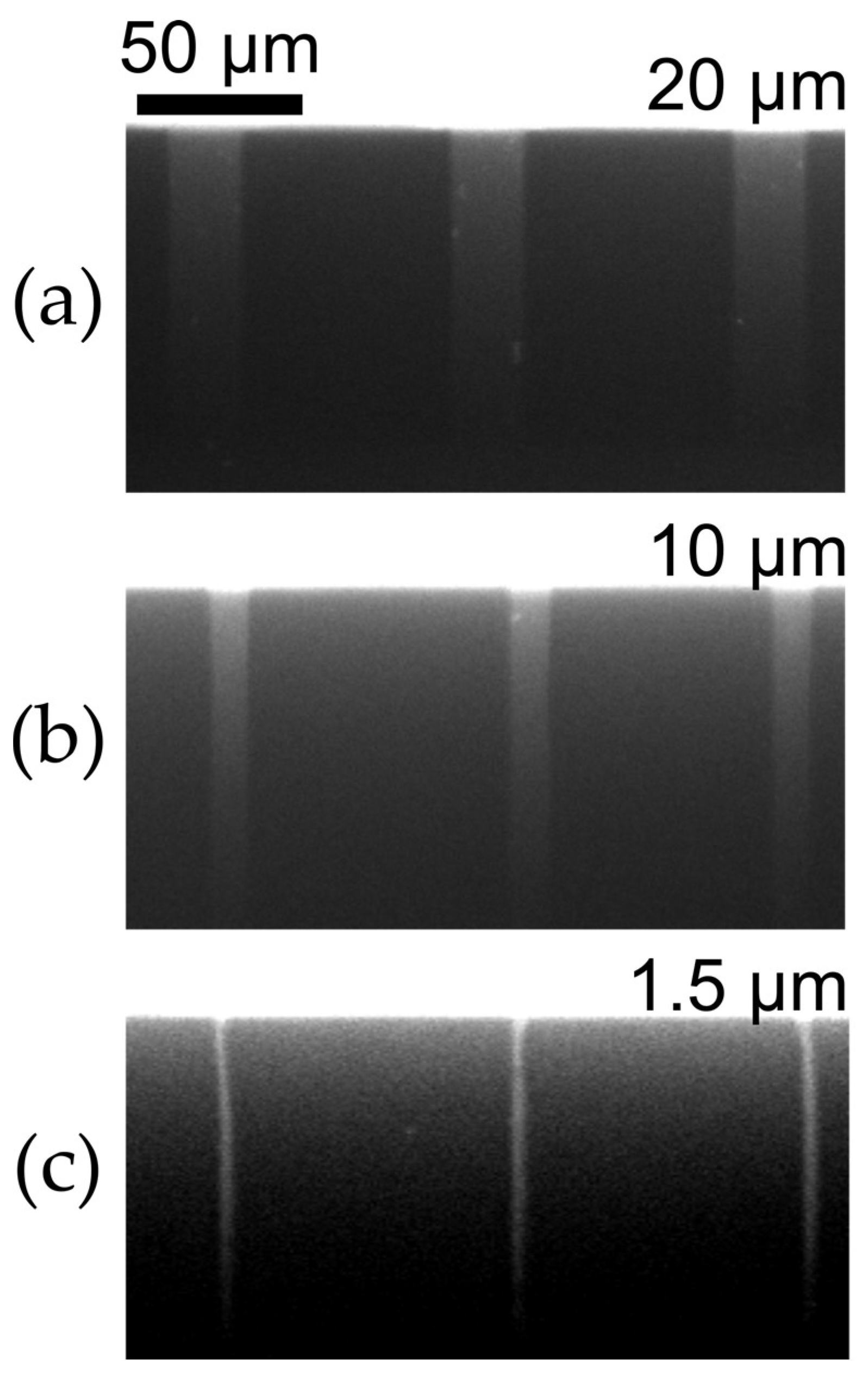 Micromachines 10 00143 g0a1
