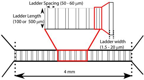 Micromachines 10 00143 i001