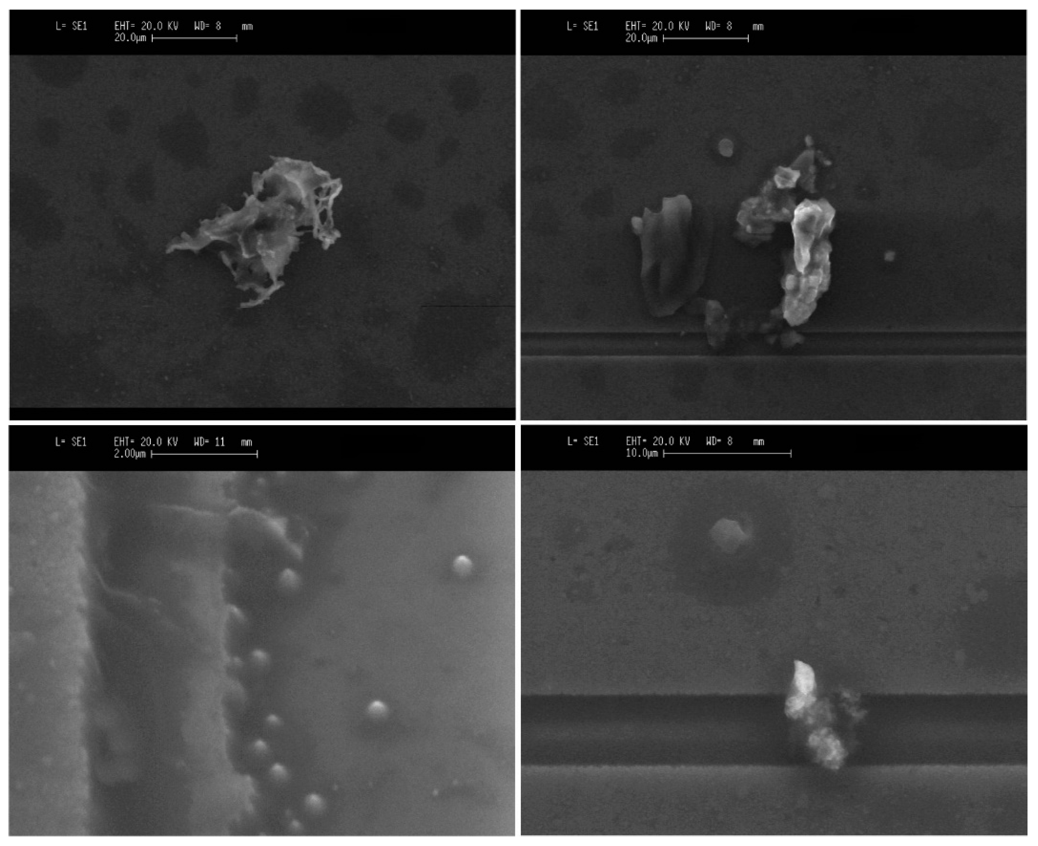 Micromachines 10 00145 g012