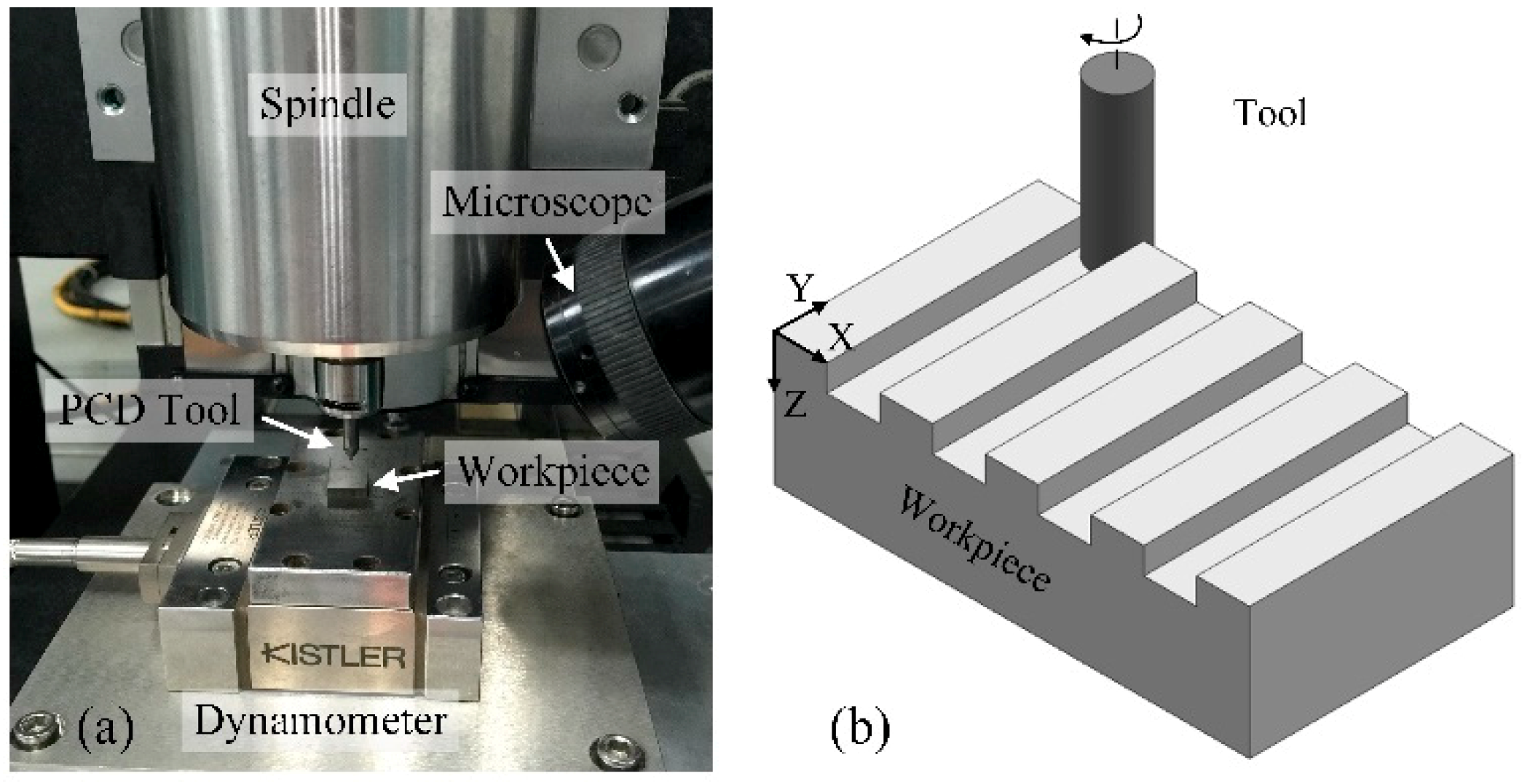 Micromachines 10 00147 g003