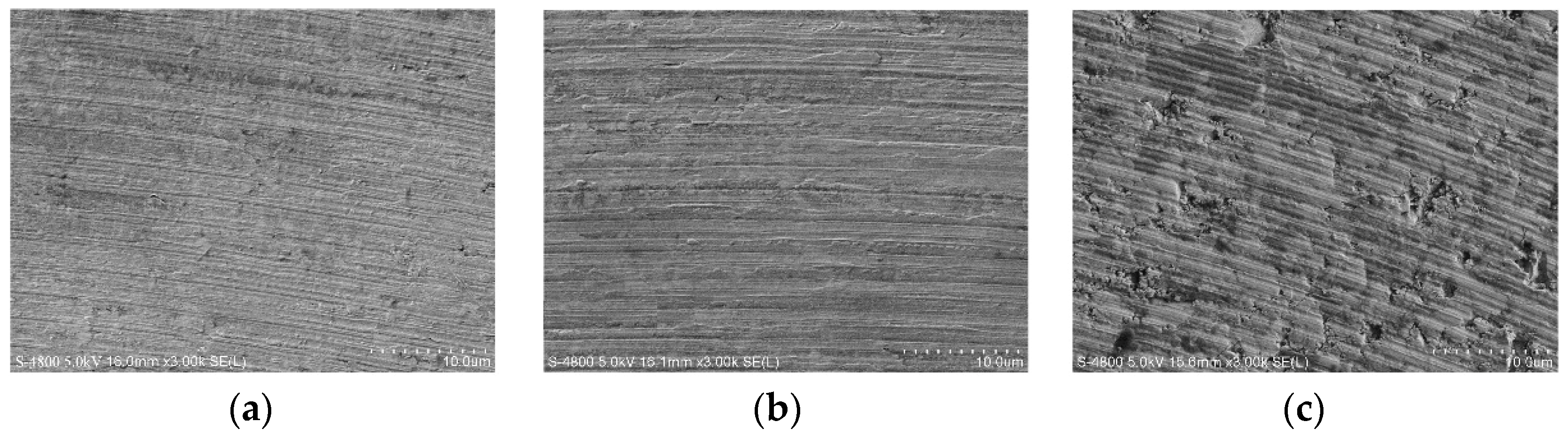 Micromachines 10 00147 g005