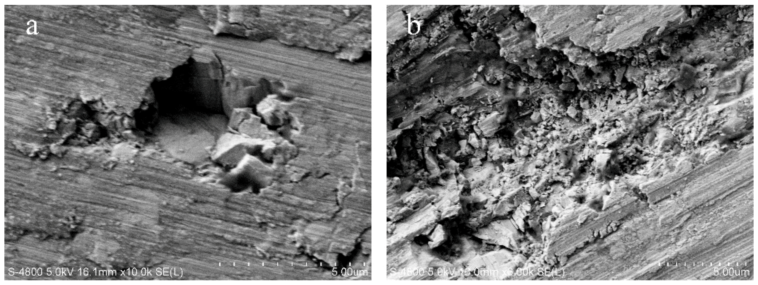 Micromachines 10 00147 g007