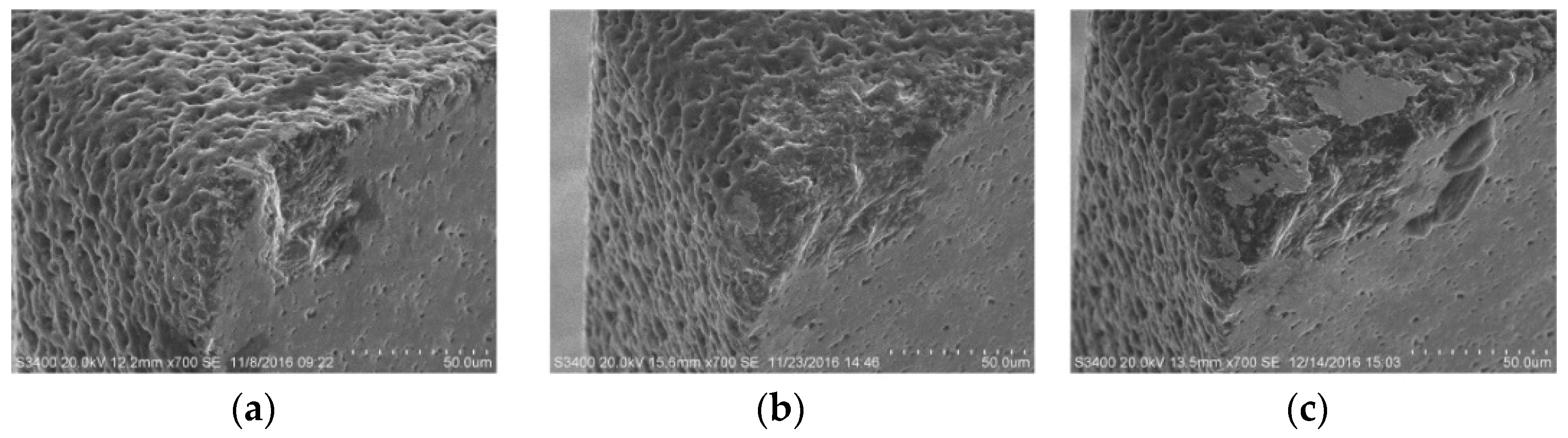 Micromachines 10 00147 g012
