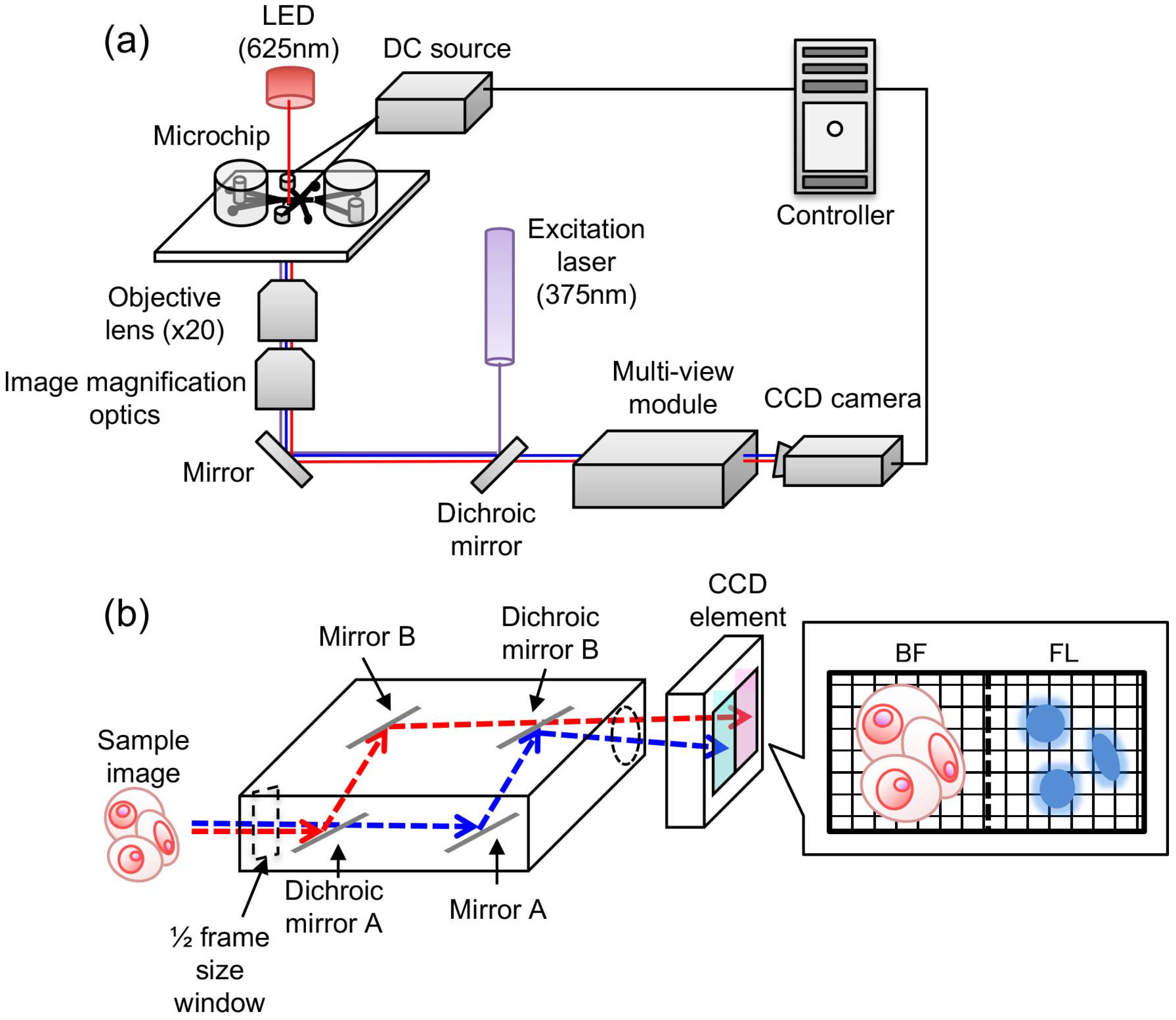 Micromachines 10 00154 g001