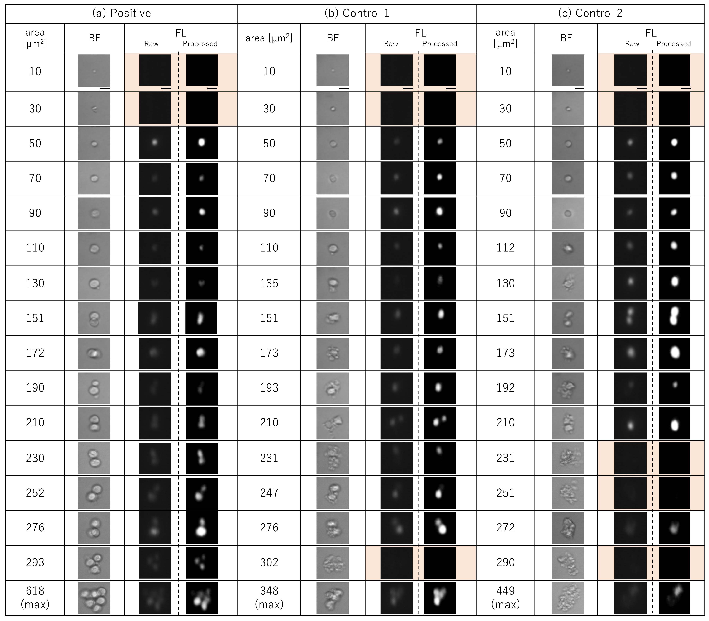 Micromachines 10 00154 g003