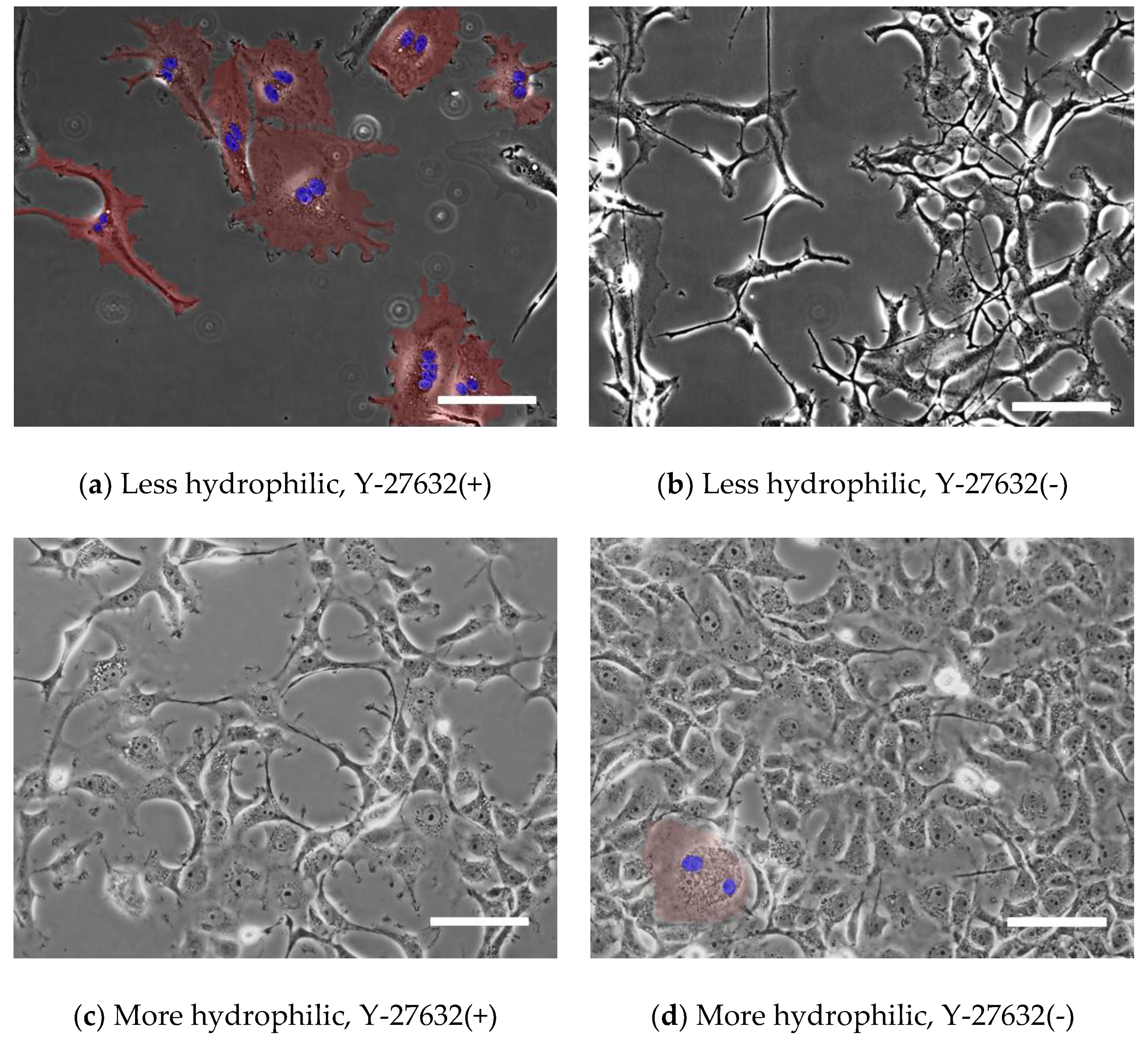 Micromachines 10 00156 g002 Micromachines 10 00156 g002