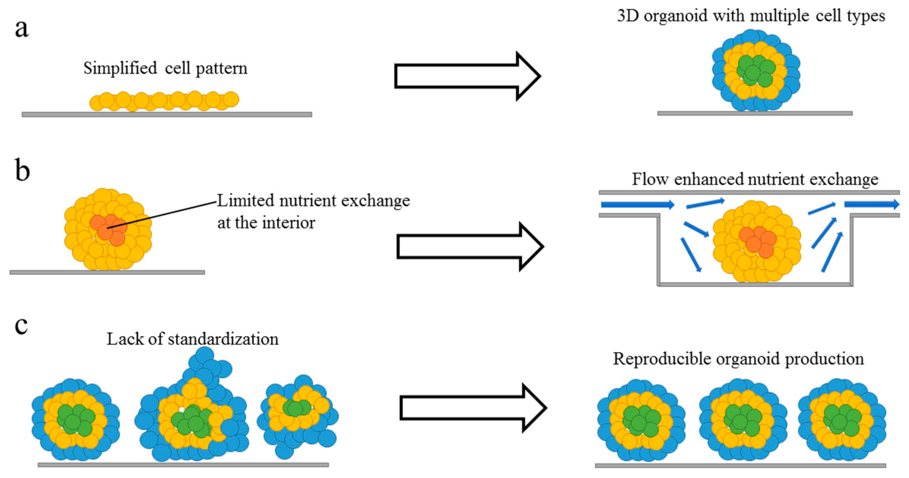 Micromachines 10 00165 g001