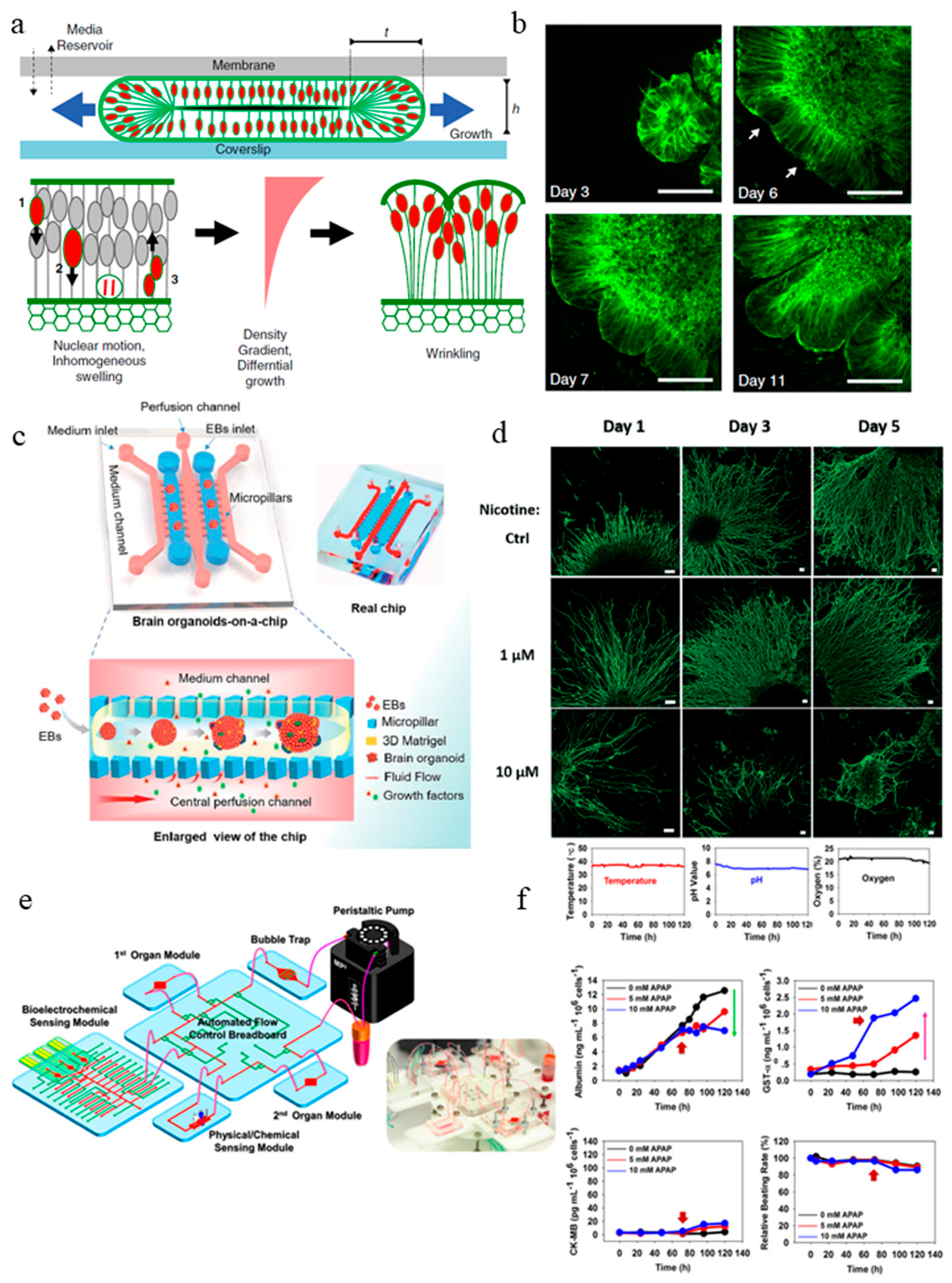 Micromachines 10 00165 g002a