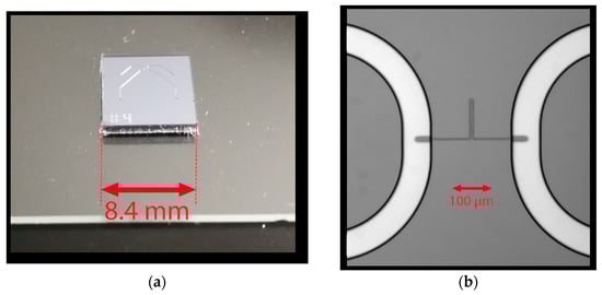 Micromachines 10 00179 g0a2