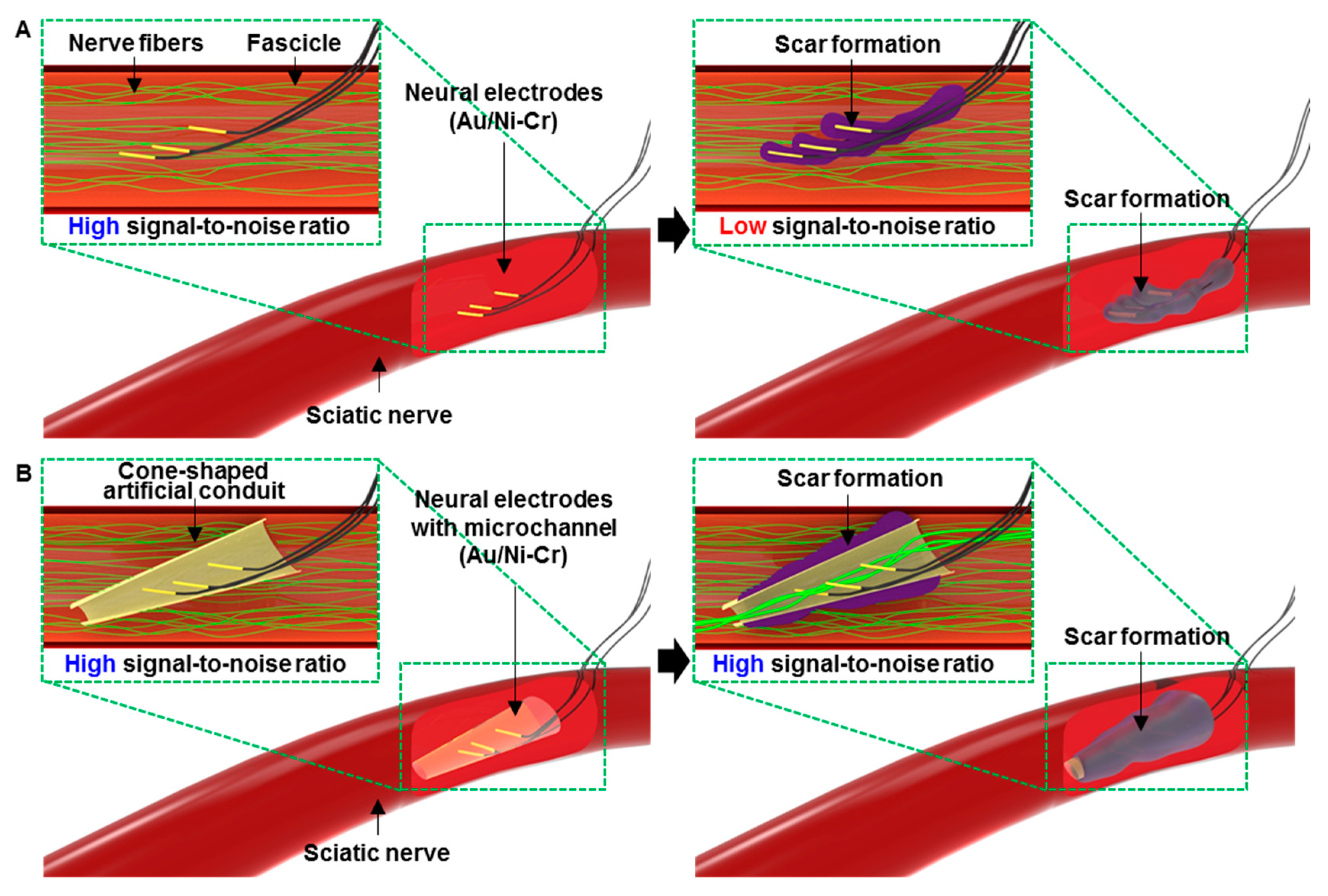 Micromachines 10 00184 g001