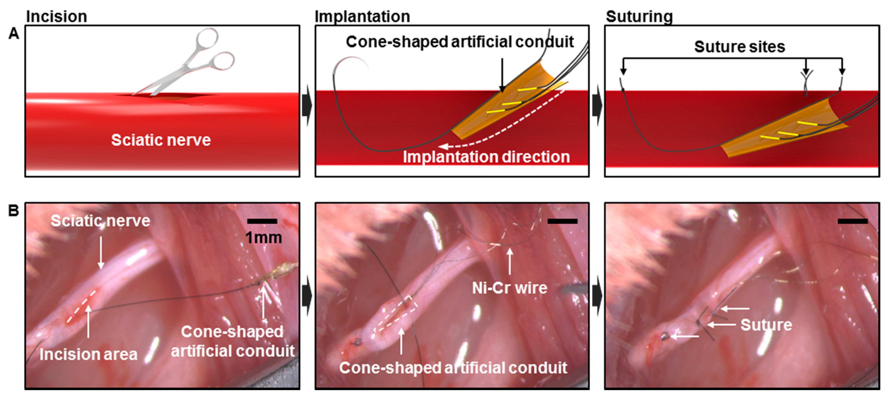 Micromachines 10 00184 g003