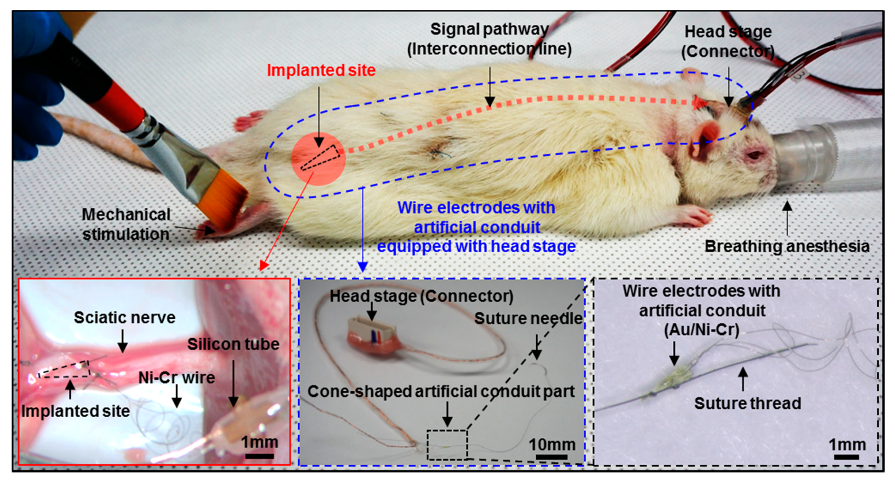 Micromachines 10 00184 g005
