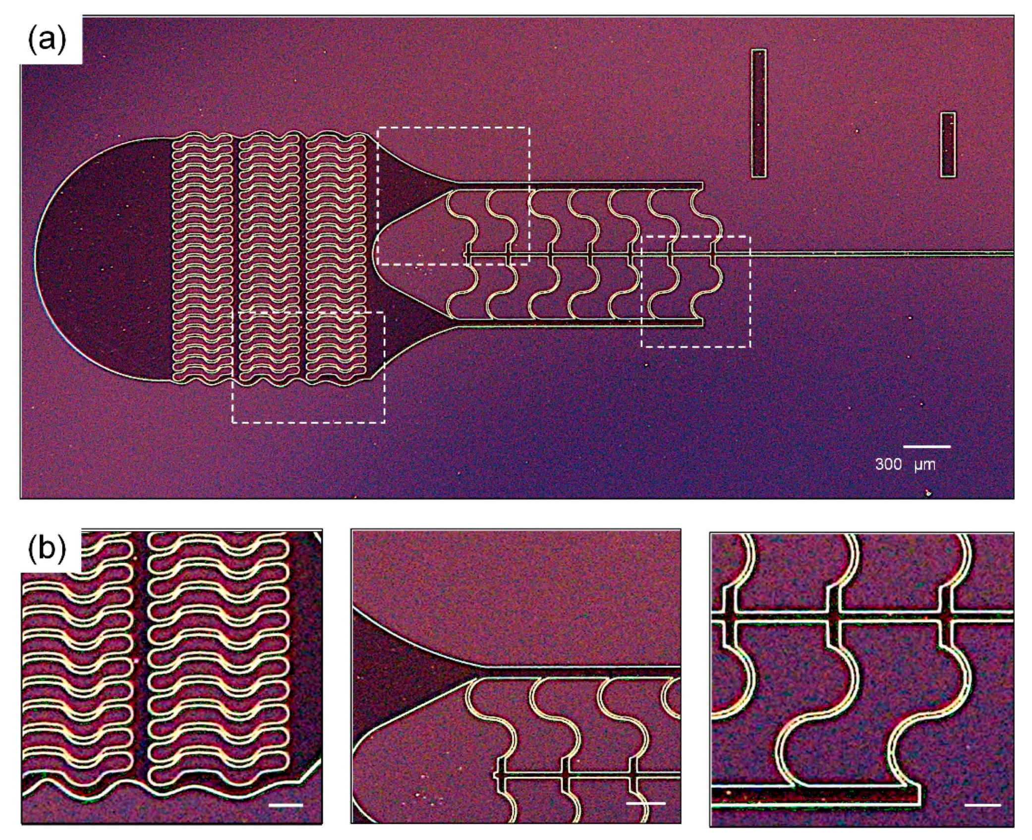 Micromachines 10 00192 g002
