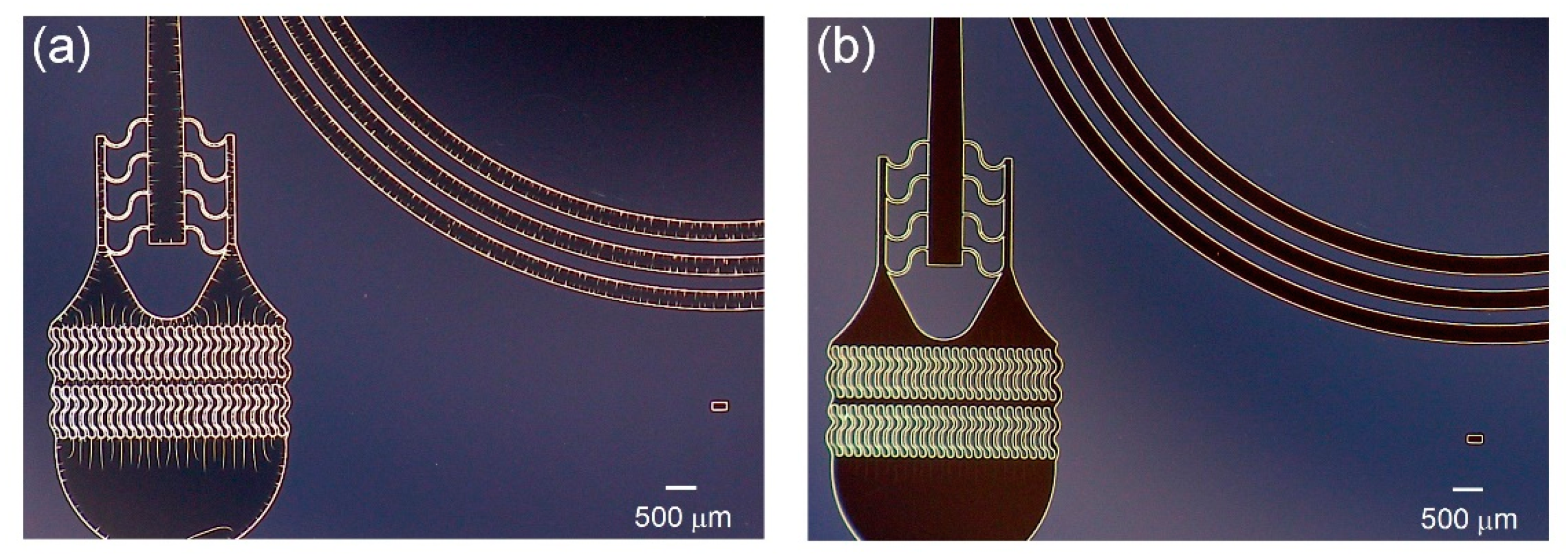 Micromachines 10 00192 g005