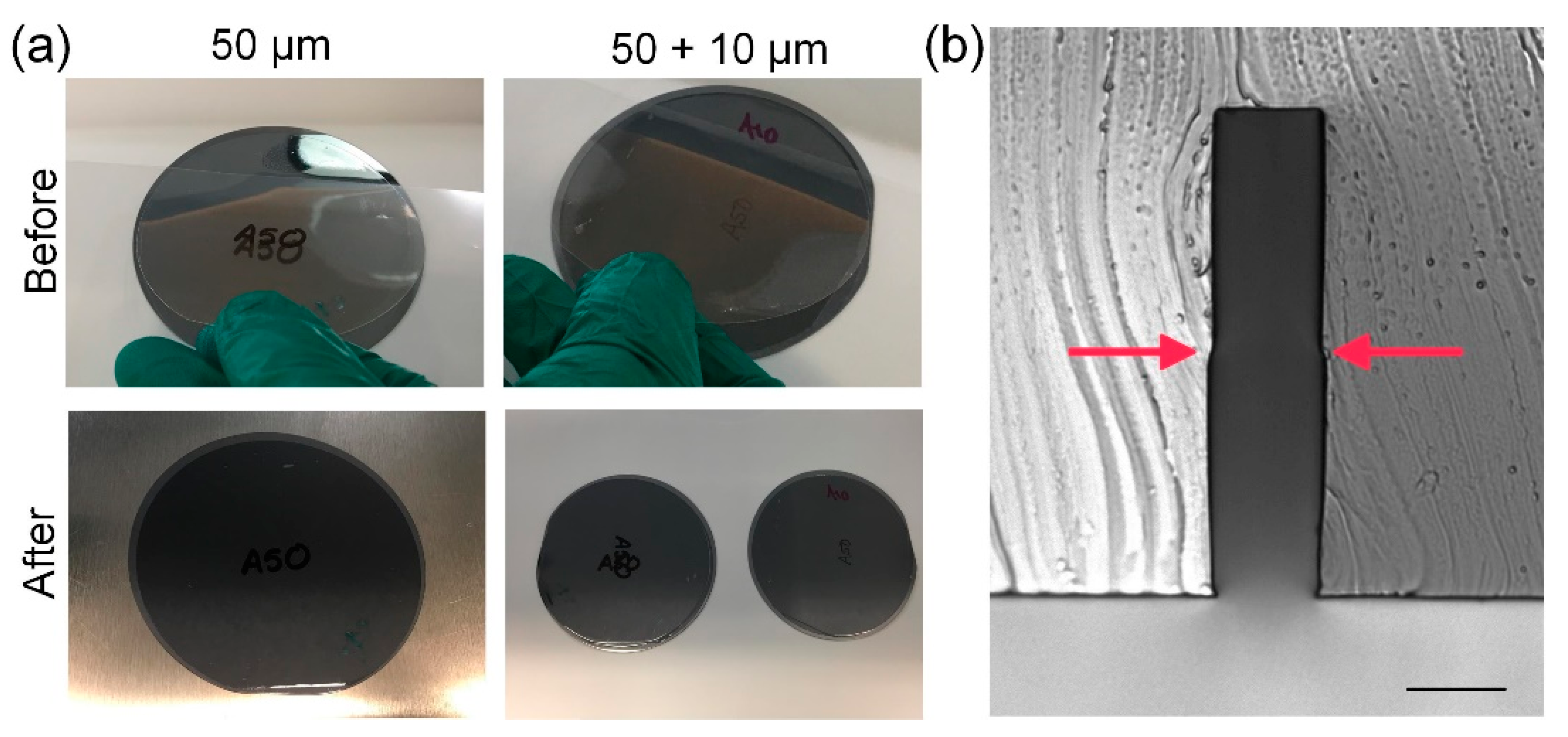 Micromachines 10 00192 g006