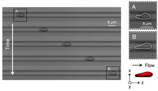 Micromachines 10 00199 g0a2