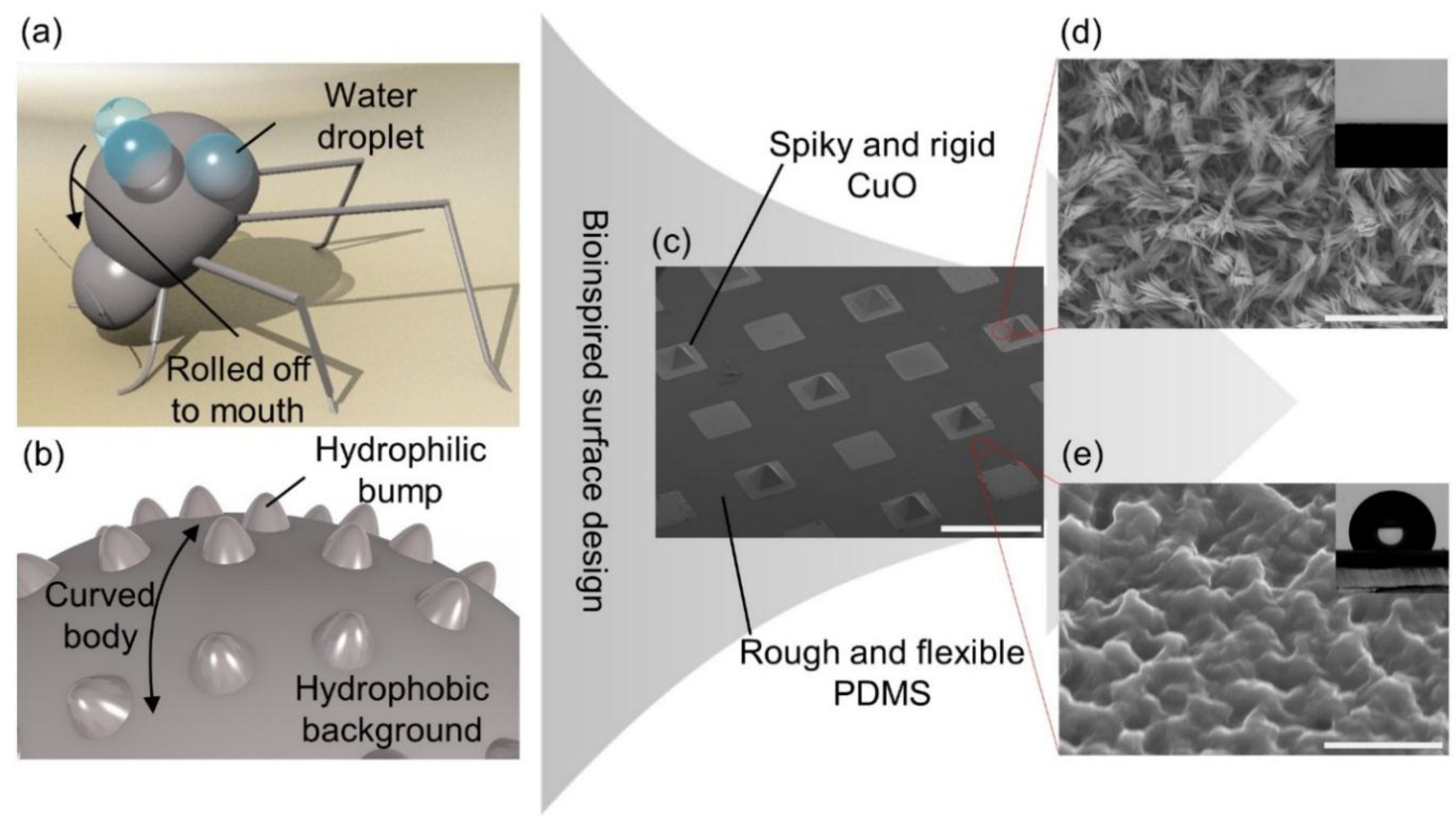 Micromachines 10 00201 g001