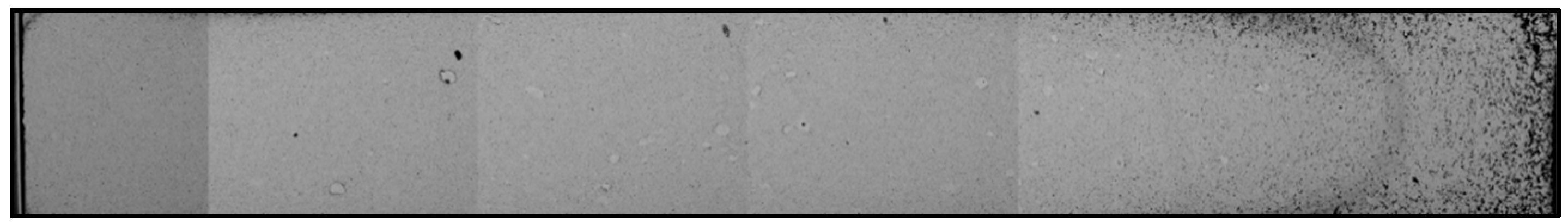 Micromachines 10 00218 g008