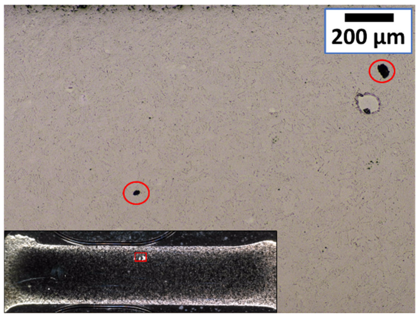 Micromachines 10 00218 g012