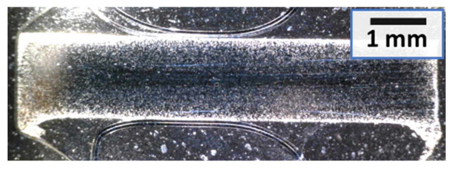 Micromachines 10 00218 g013