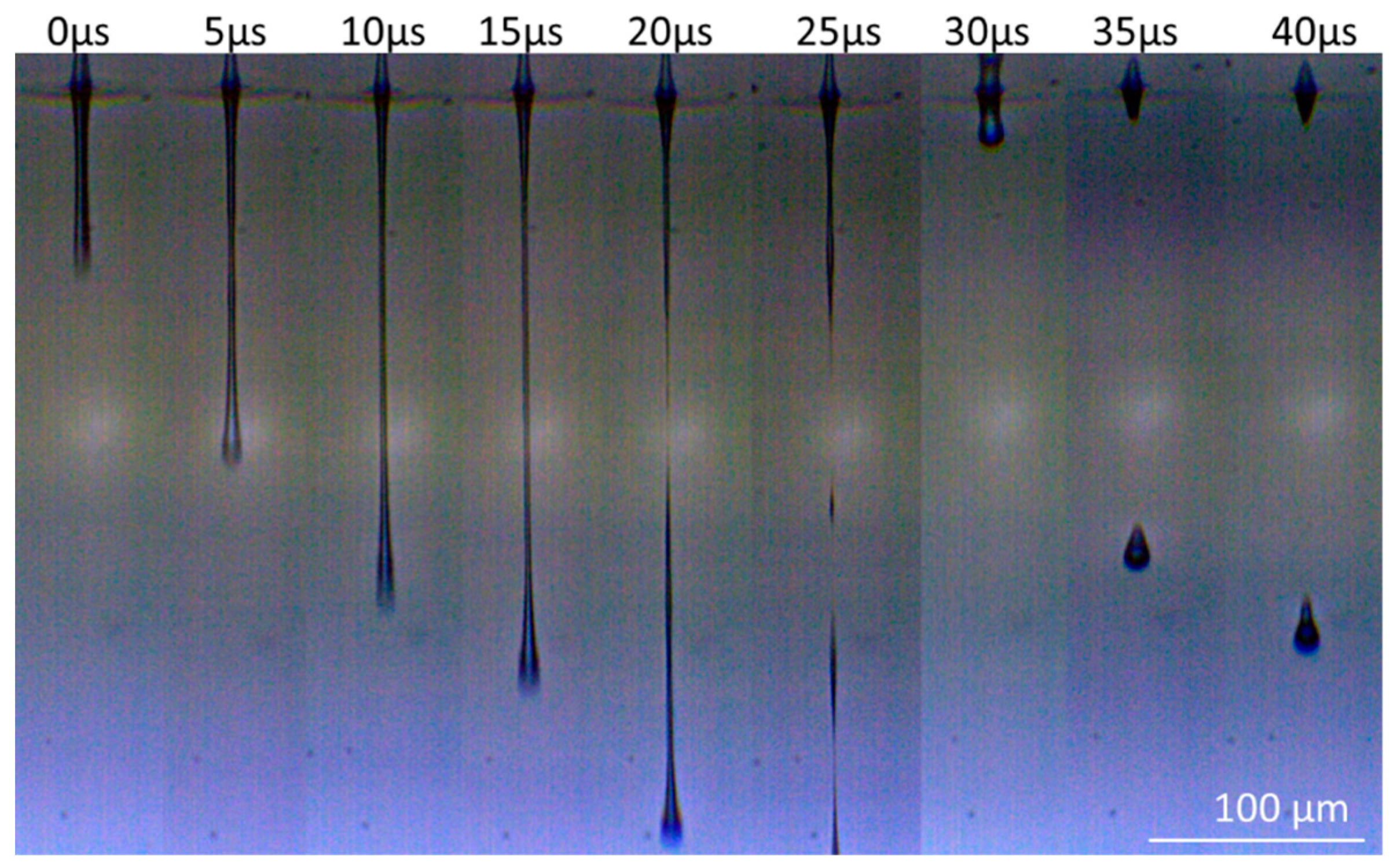Micromachines 10 00221 g009