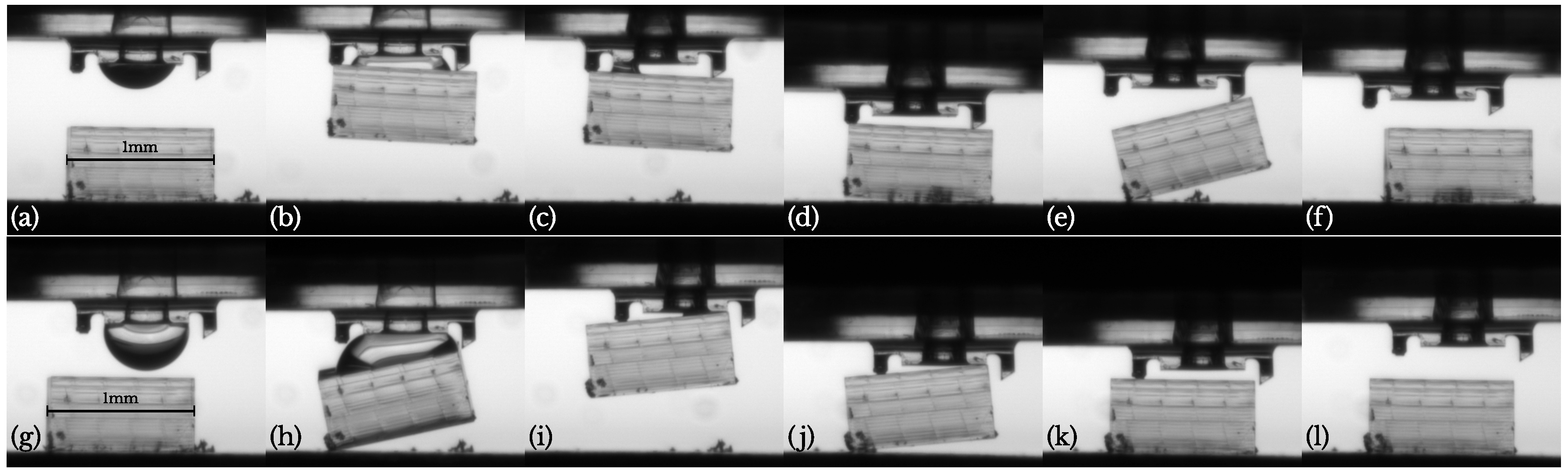 Micromachines 10 00224 g012