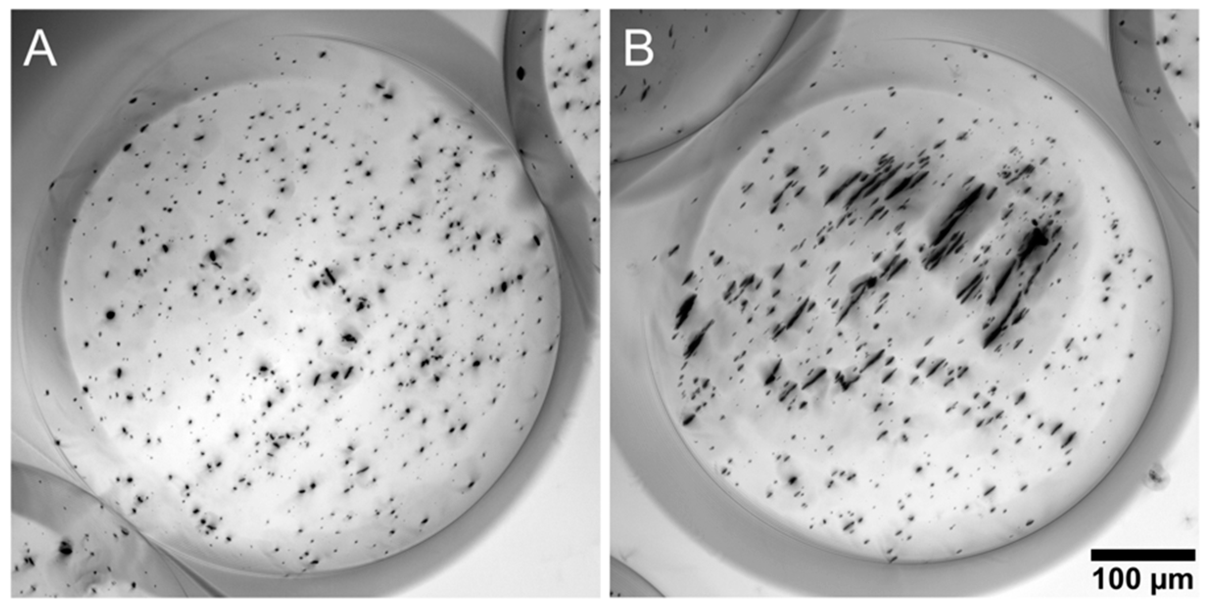 Micromachines 10 00230 g002 Micromachines 10 00230 g002