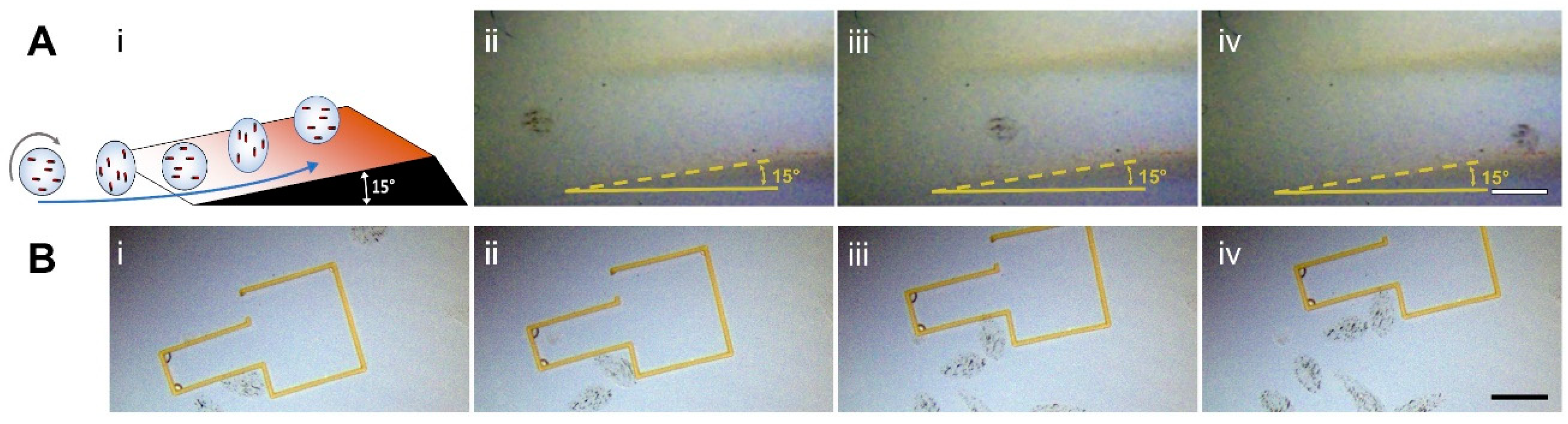 Micromachines 10 00230 g005 Micromachines 10 00230 g005